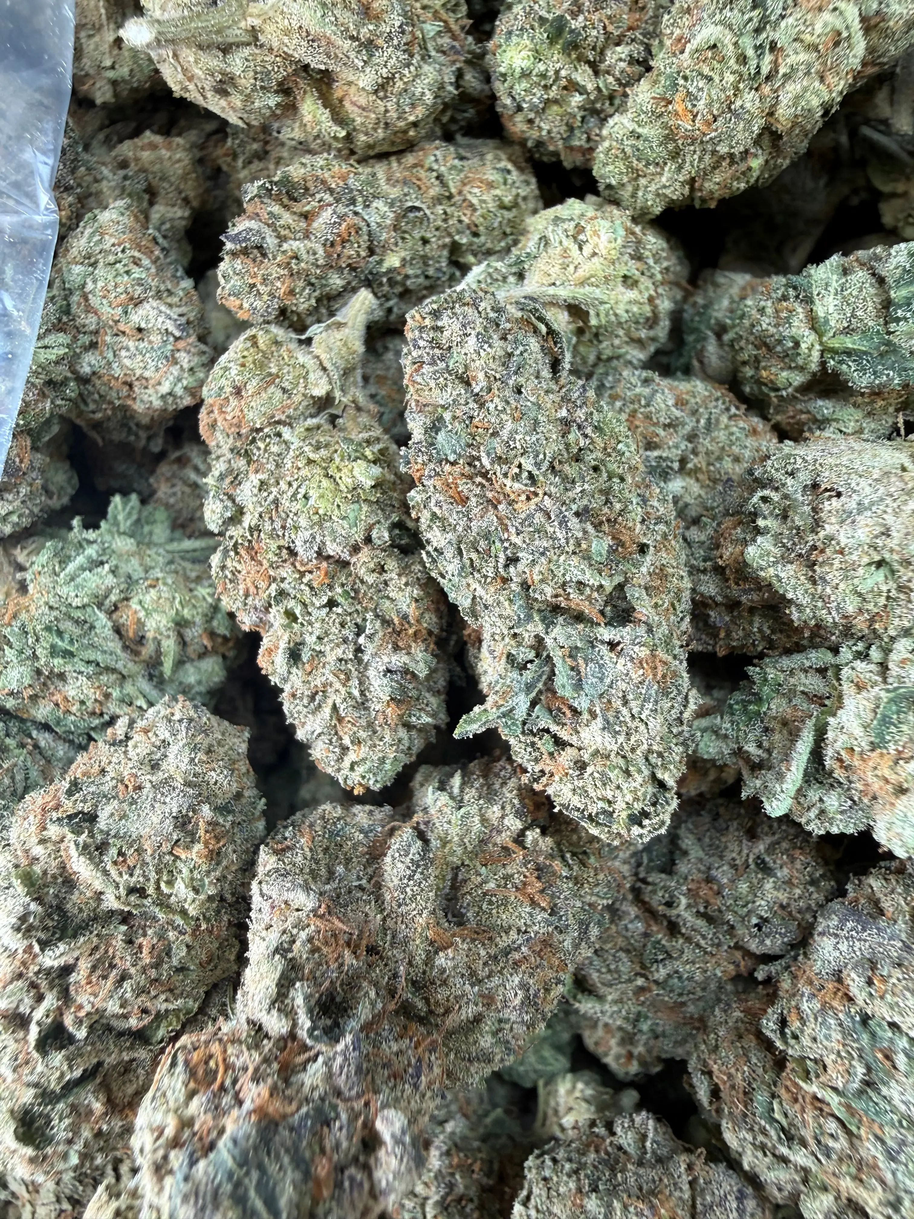 1 Pound - Cereal Milk THCA Flower - Image 4