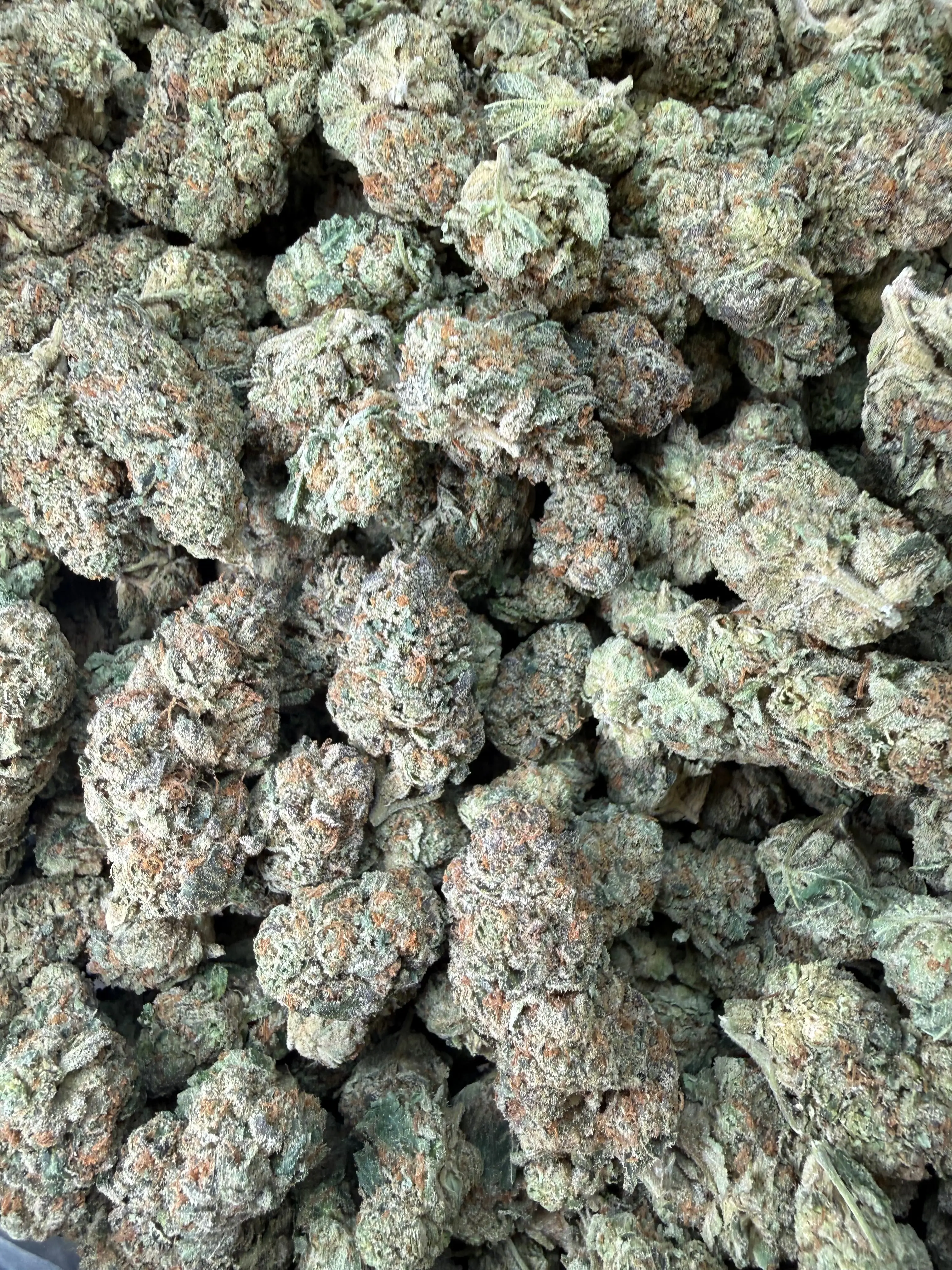 1 Pound - Cereal Milk THCA Flower - Image 6