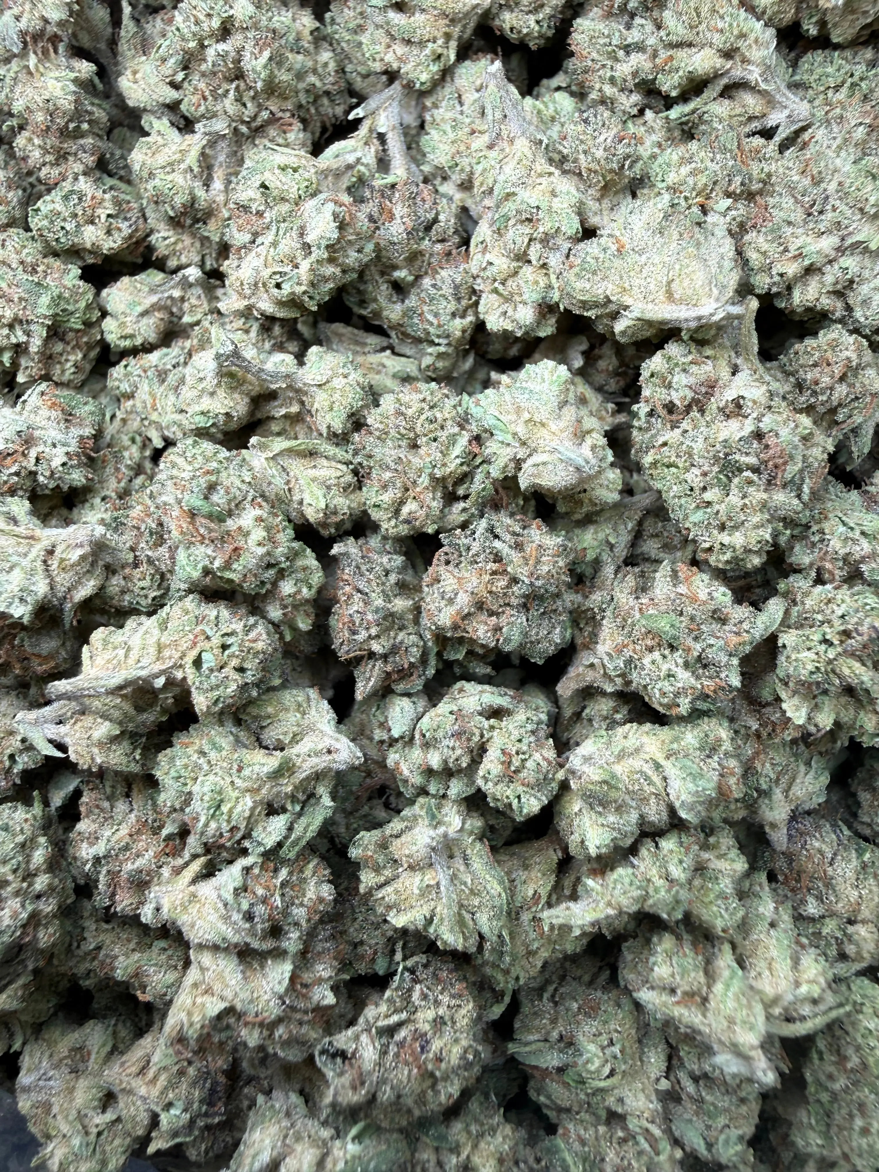 1 Pound - Cereal Milk THCA Strain (Small) - Image 2