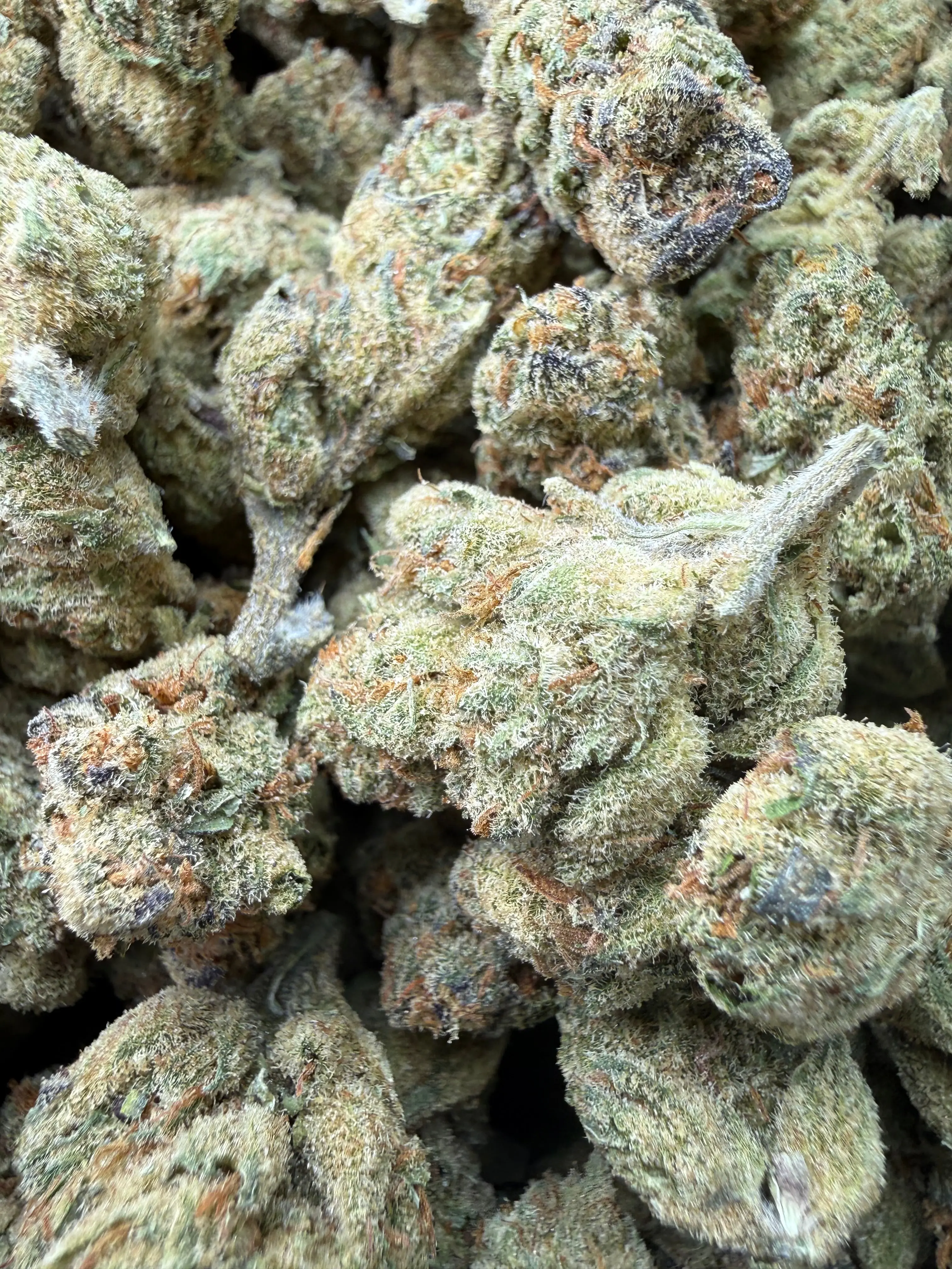 1 Pound - Cheetah Piss THCA Flower - Image 5