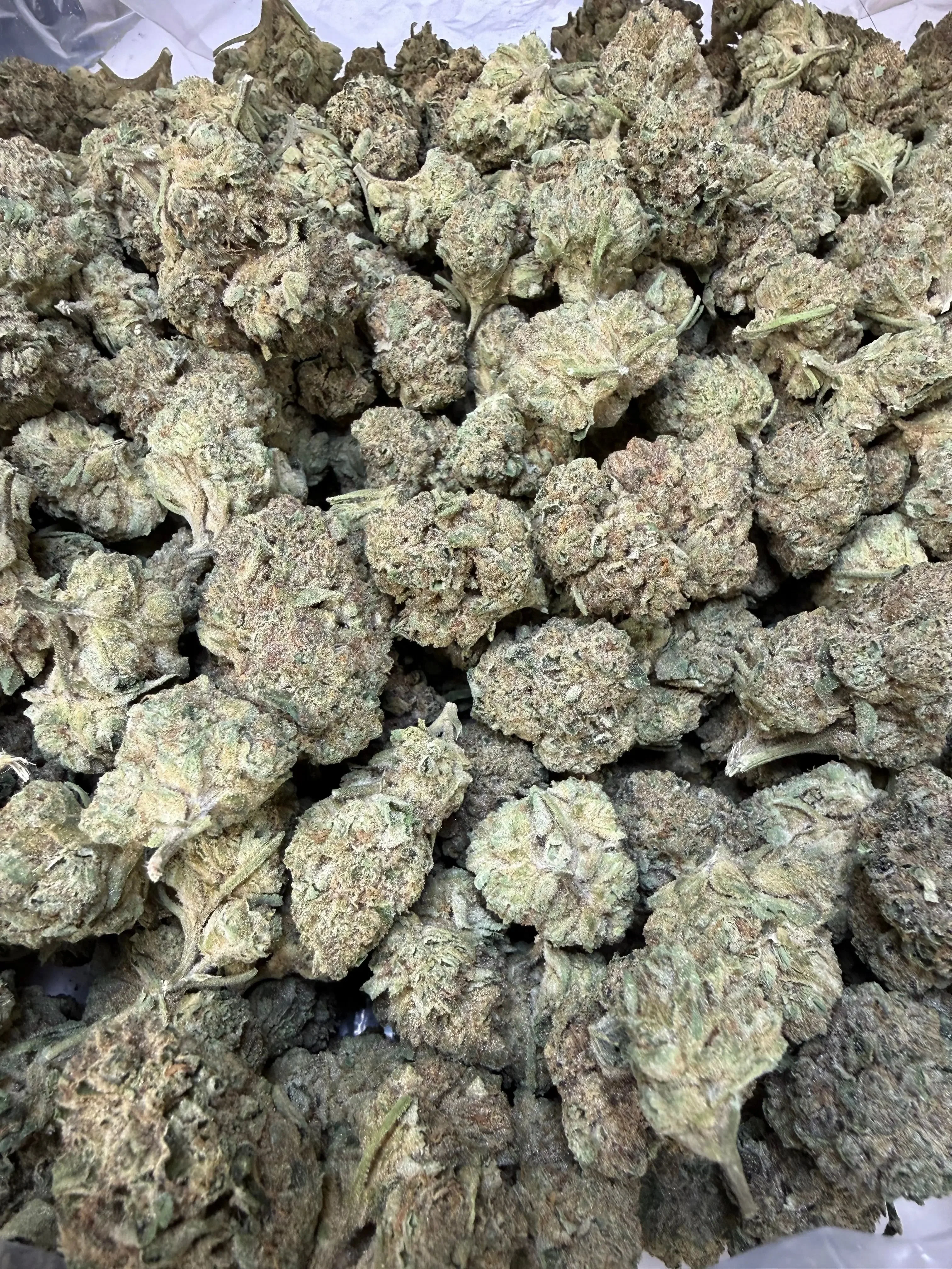 1 Pound - Cyro Cookies THCA Strain - Image 4