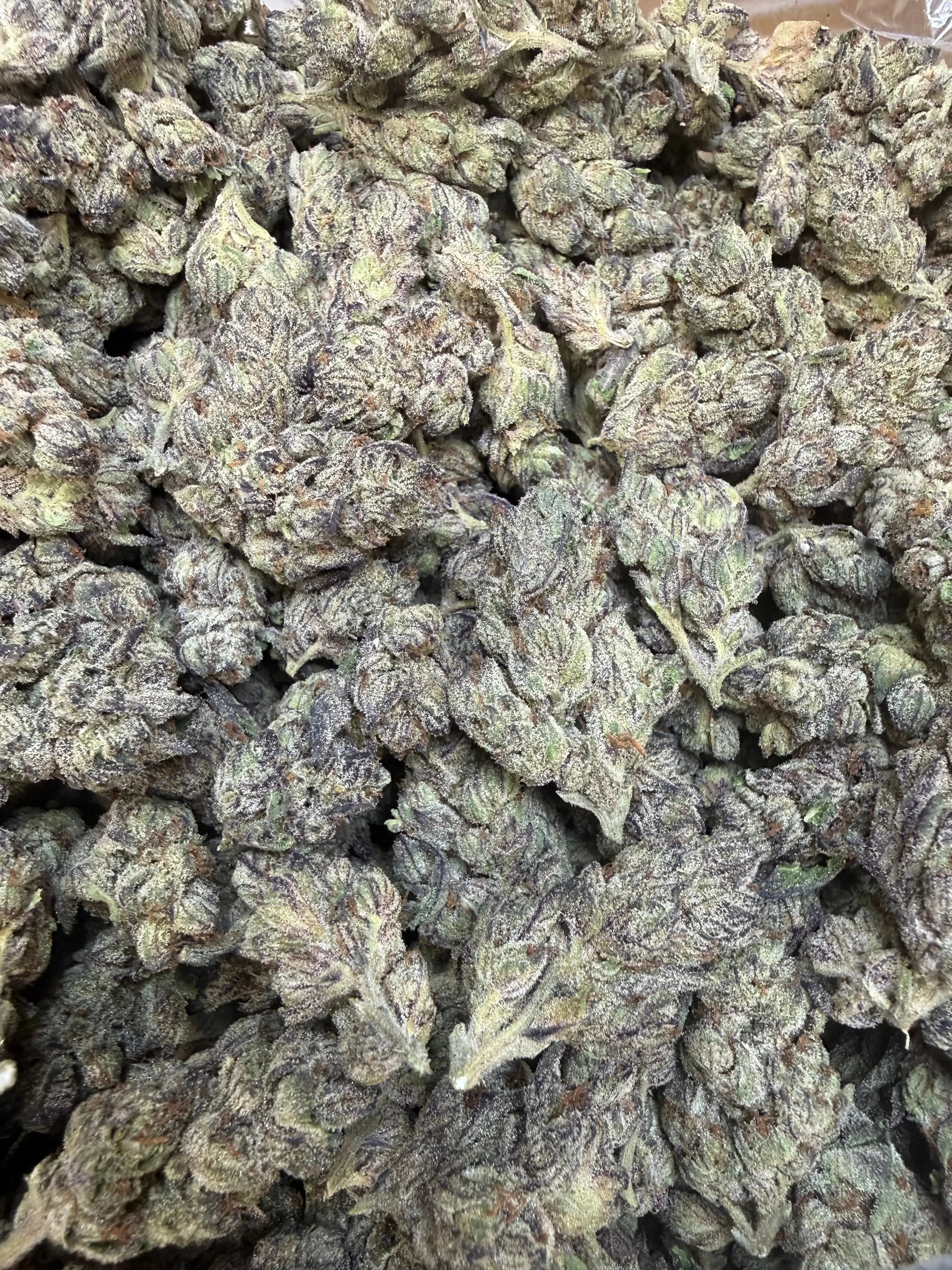 1 Pound - Deep Freeze THCA Strain - Image 3