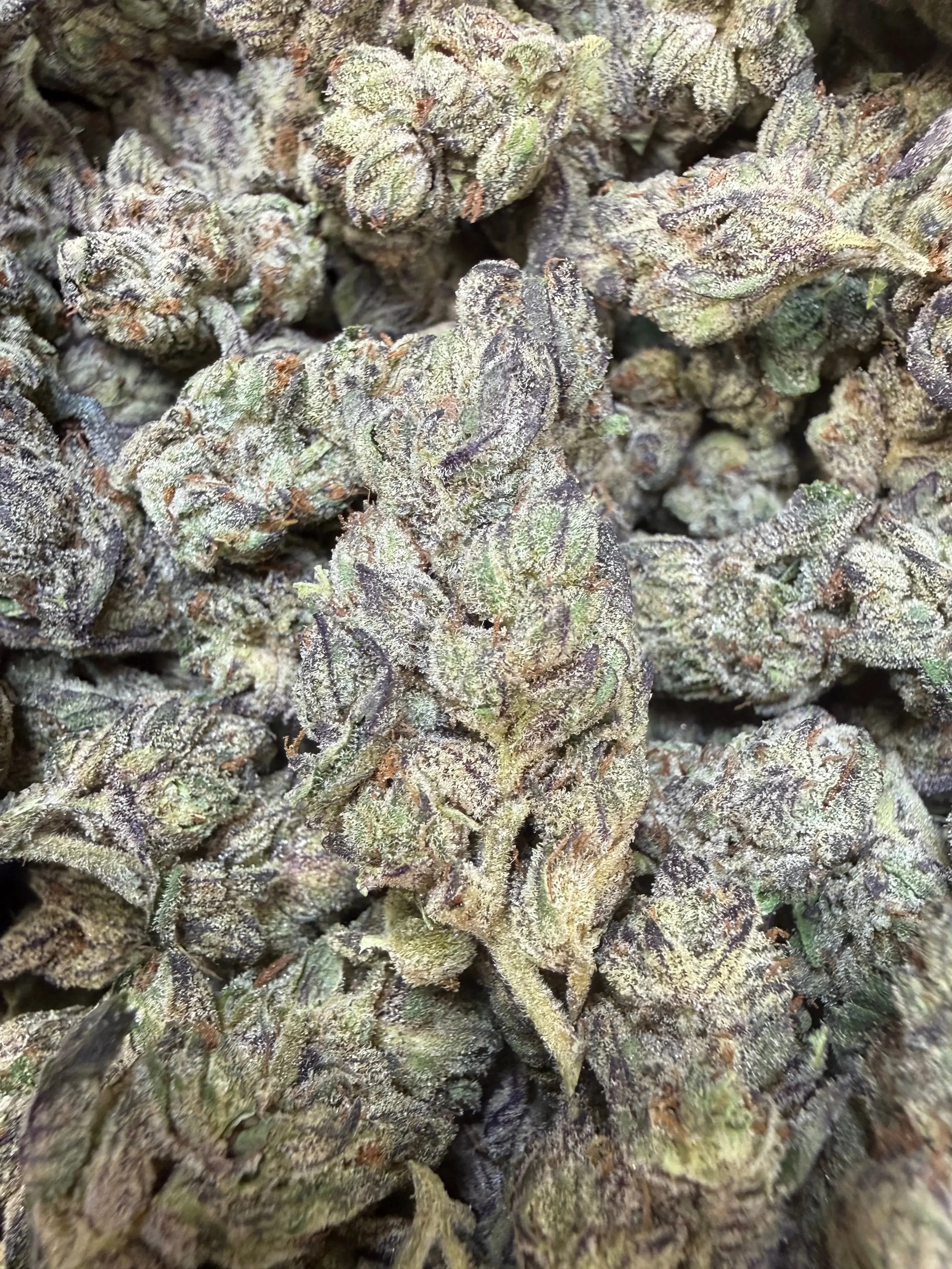 1 Pound - Deep Freeze THCA Strain - Image 5