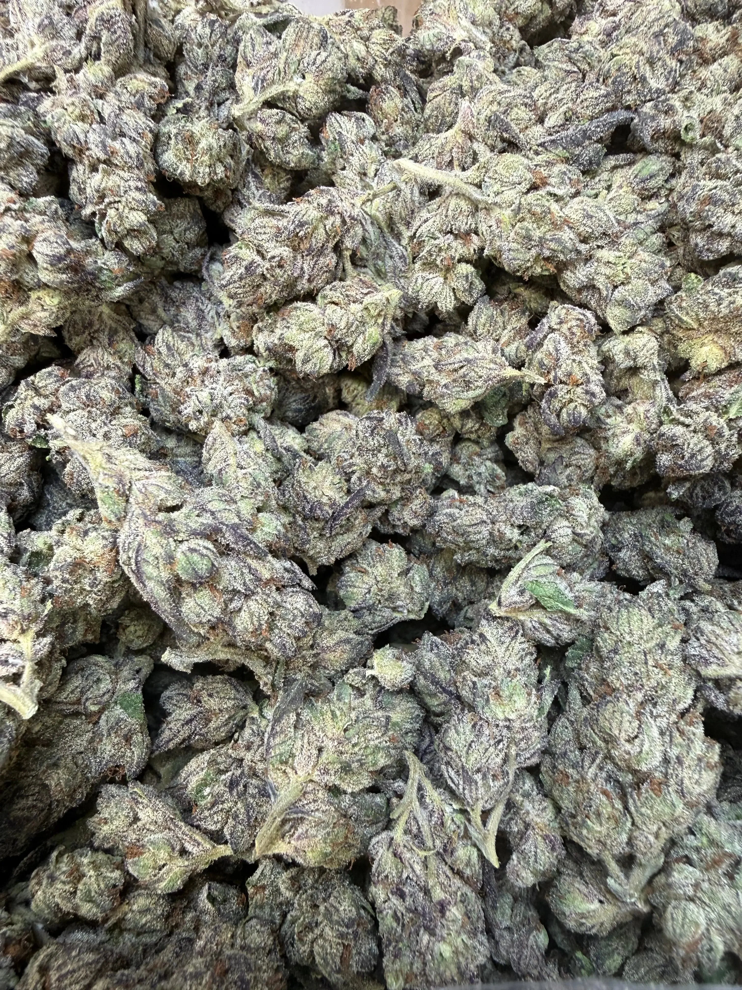 1 Pound - Deep Freeze THCA Strain - Image 6