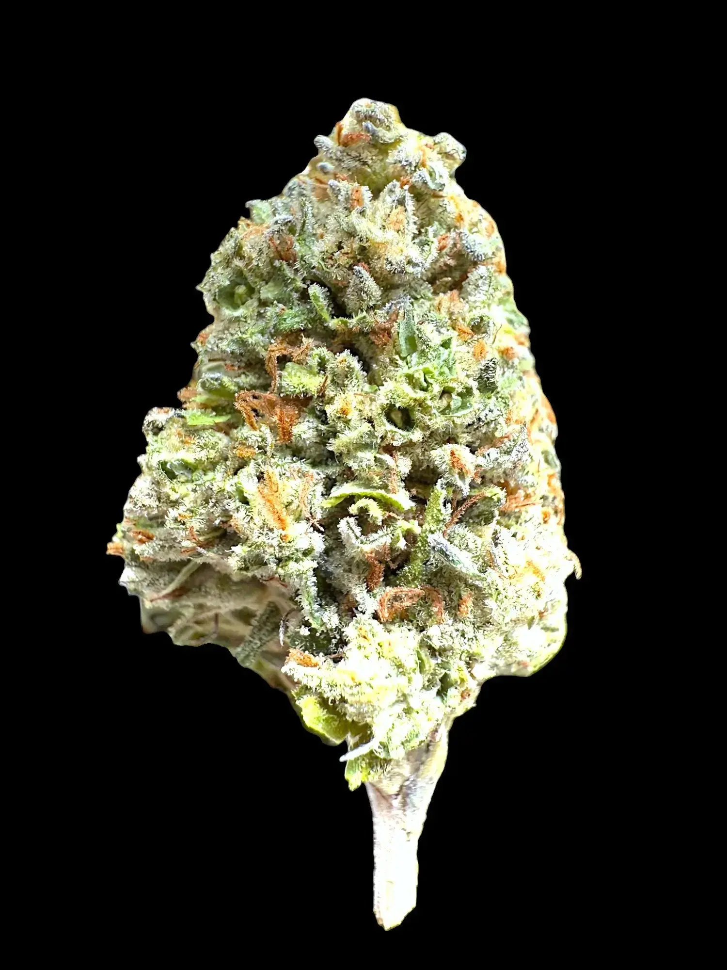 1 Pound - E85 GAS Strain THCA