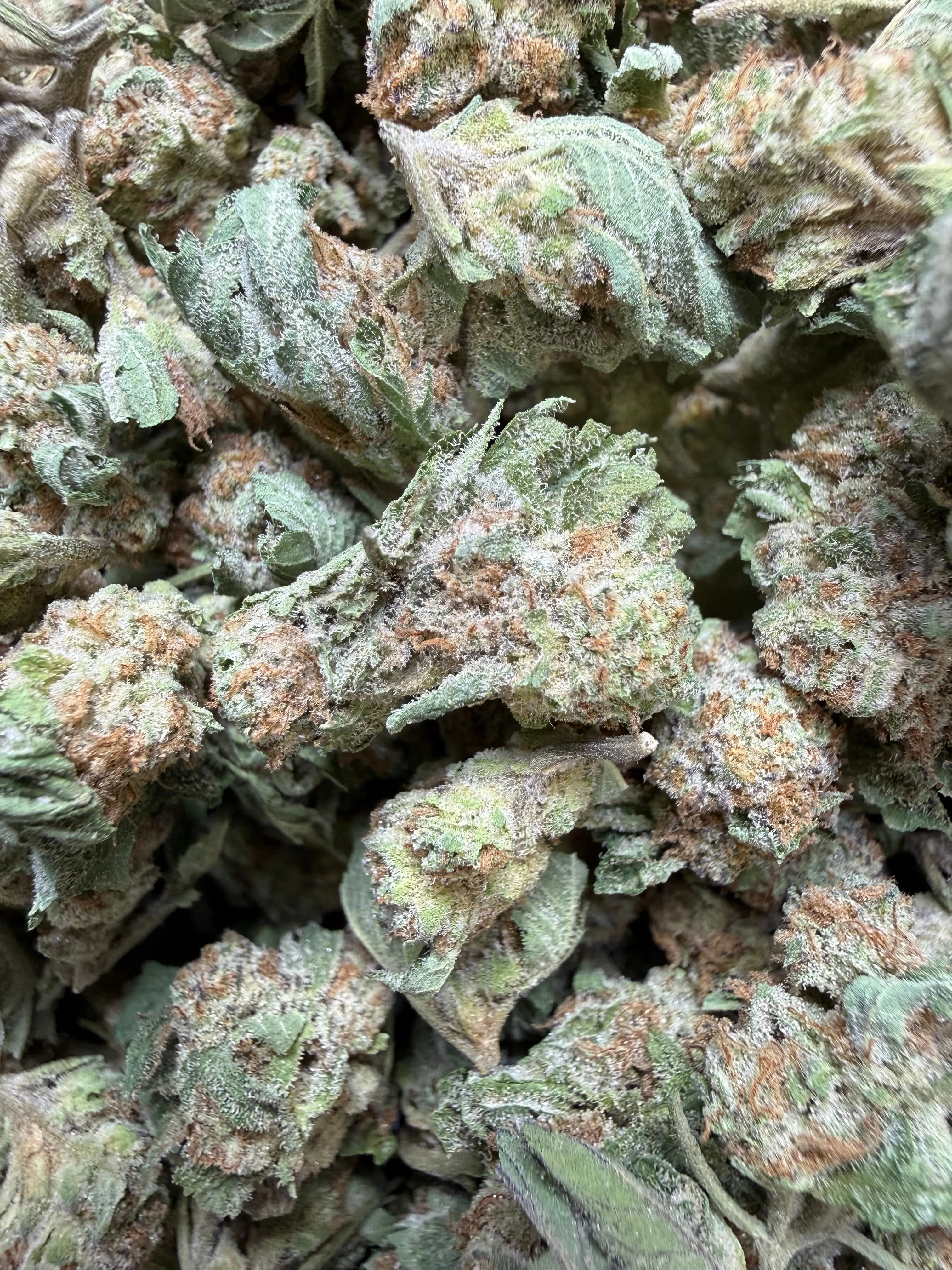 1 Pound - F1 Durb THCA Strain (Small) - Image 2