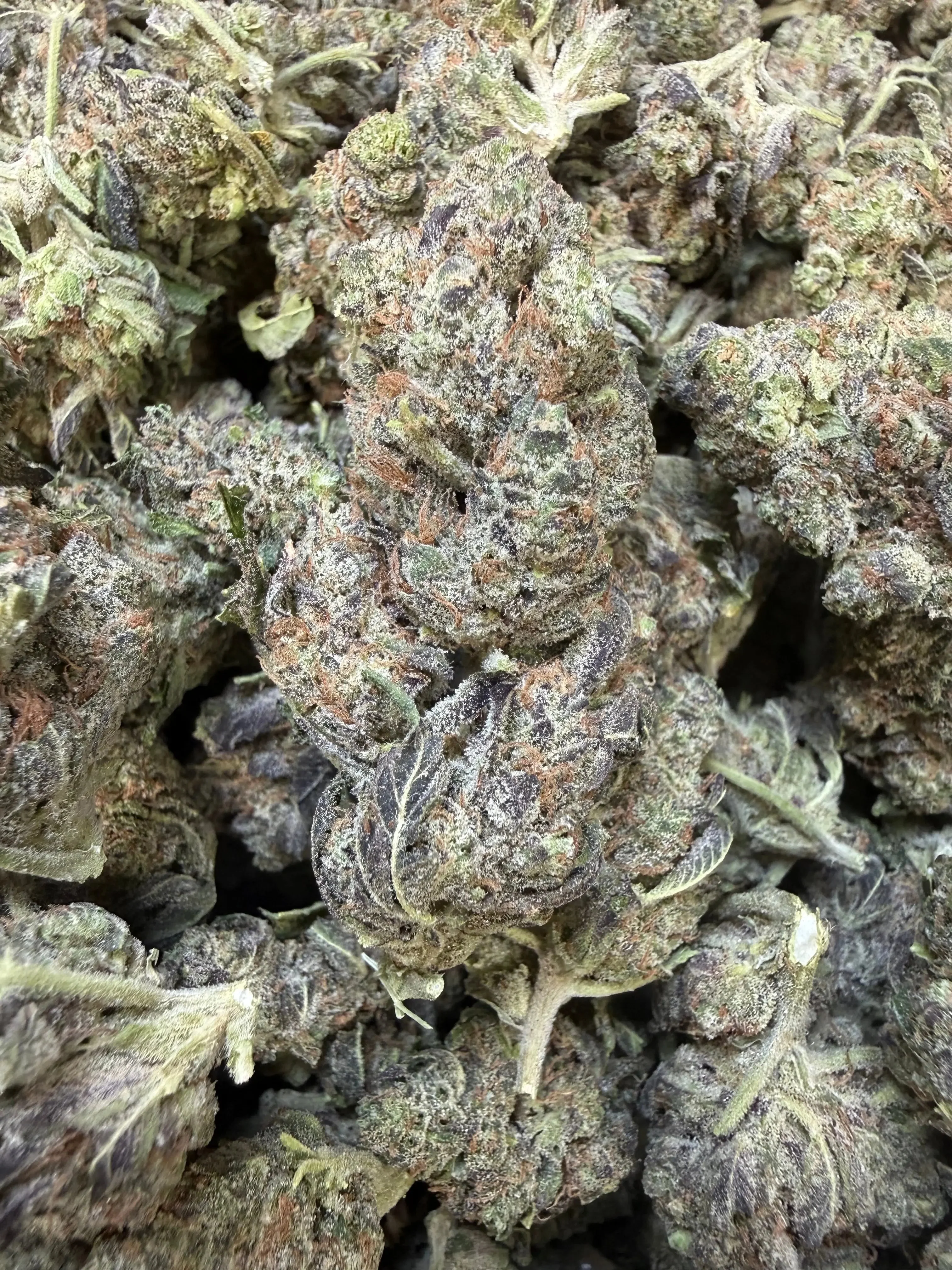 1 Pound - Federal Frost THCA Flower