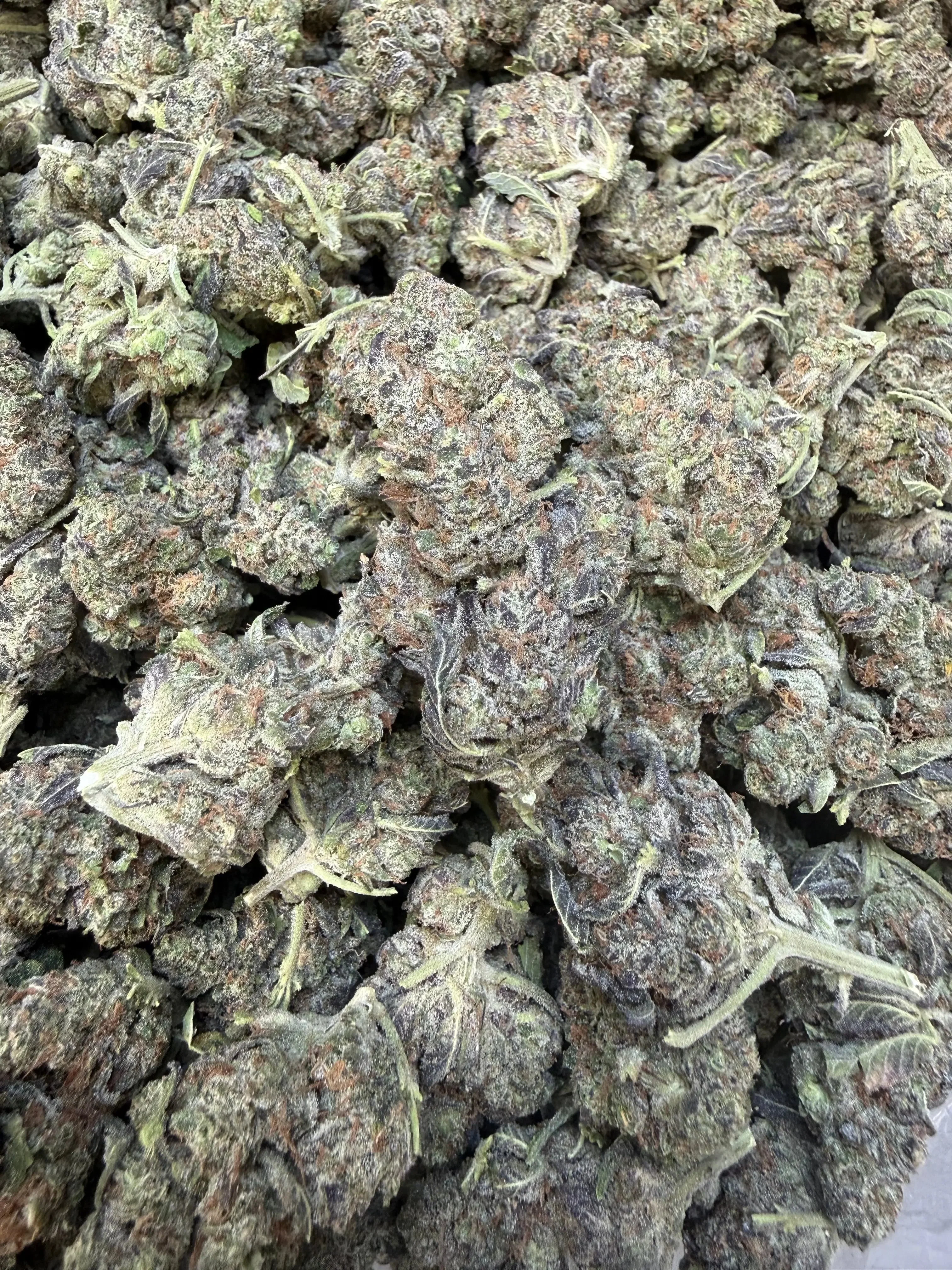 1 Pound - Federal Frost THCA Flower - Image 5