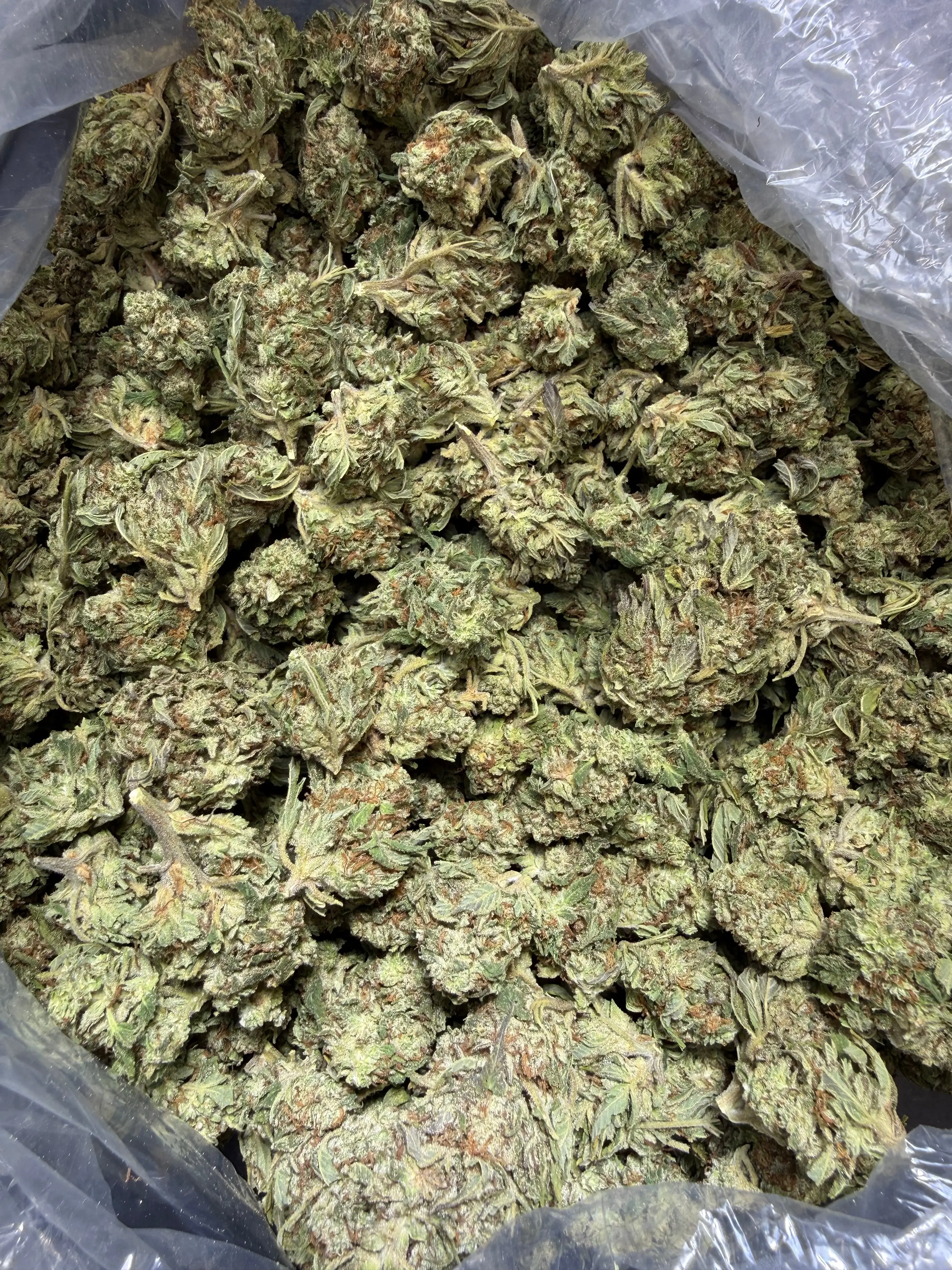 1 Pound - Fuel OG THCA Flower - Image 4