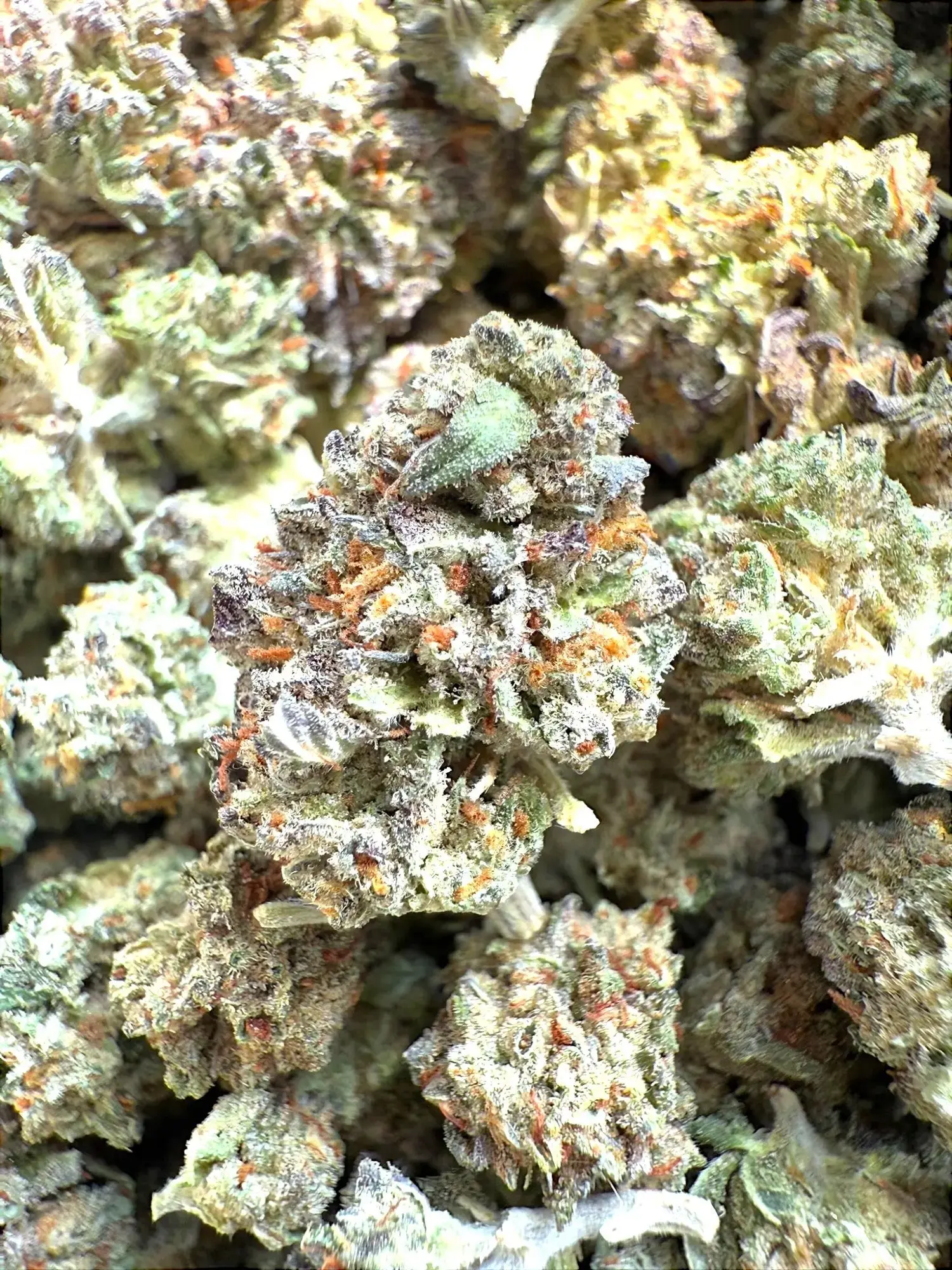 Frisco Labs - ILLEMONATI Strain THCA - Image 2