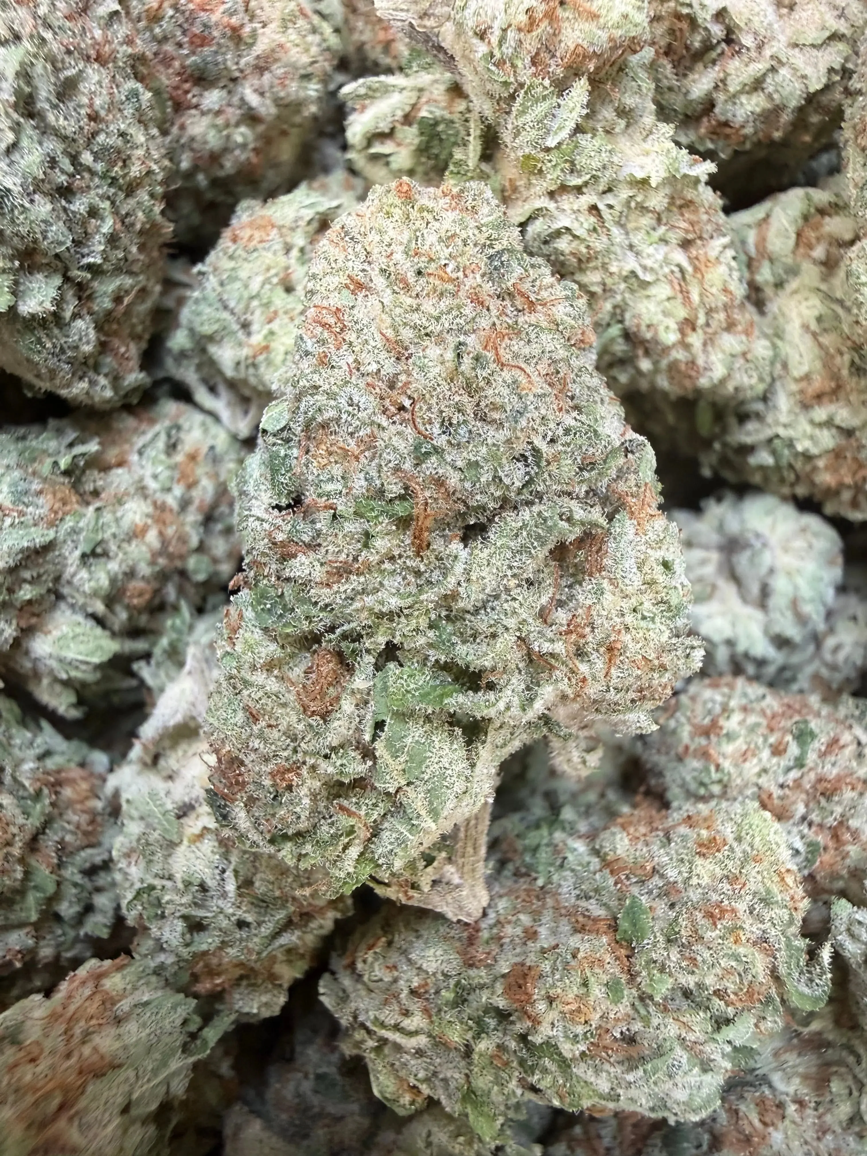 1 Pound - Jungle Juice THCA Flower