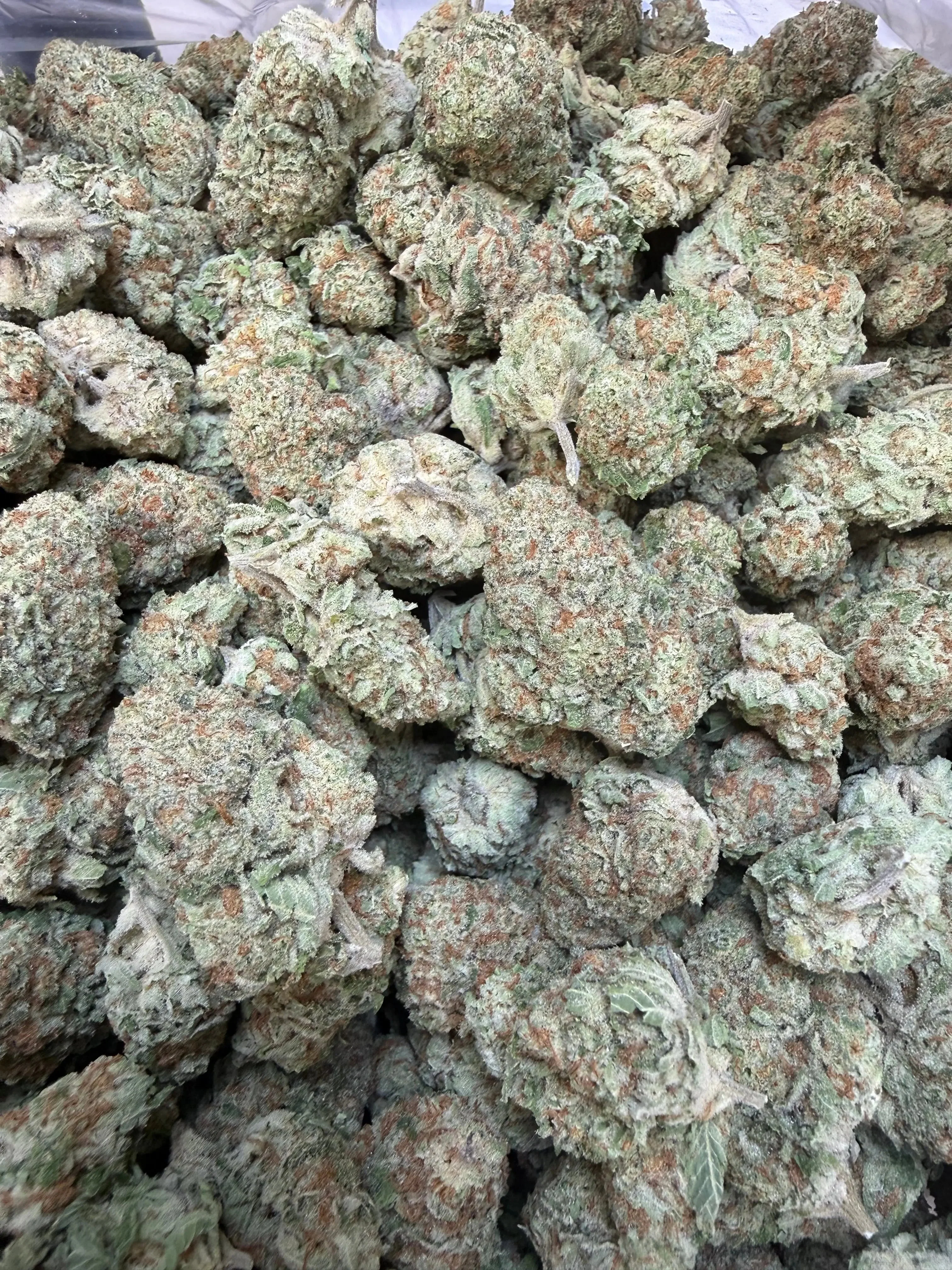 1 Pound - Jungle Juice THCA Flower - Image 5