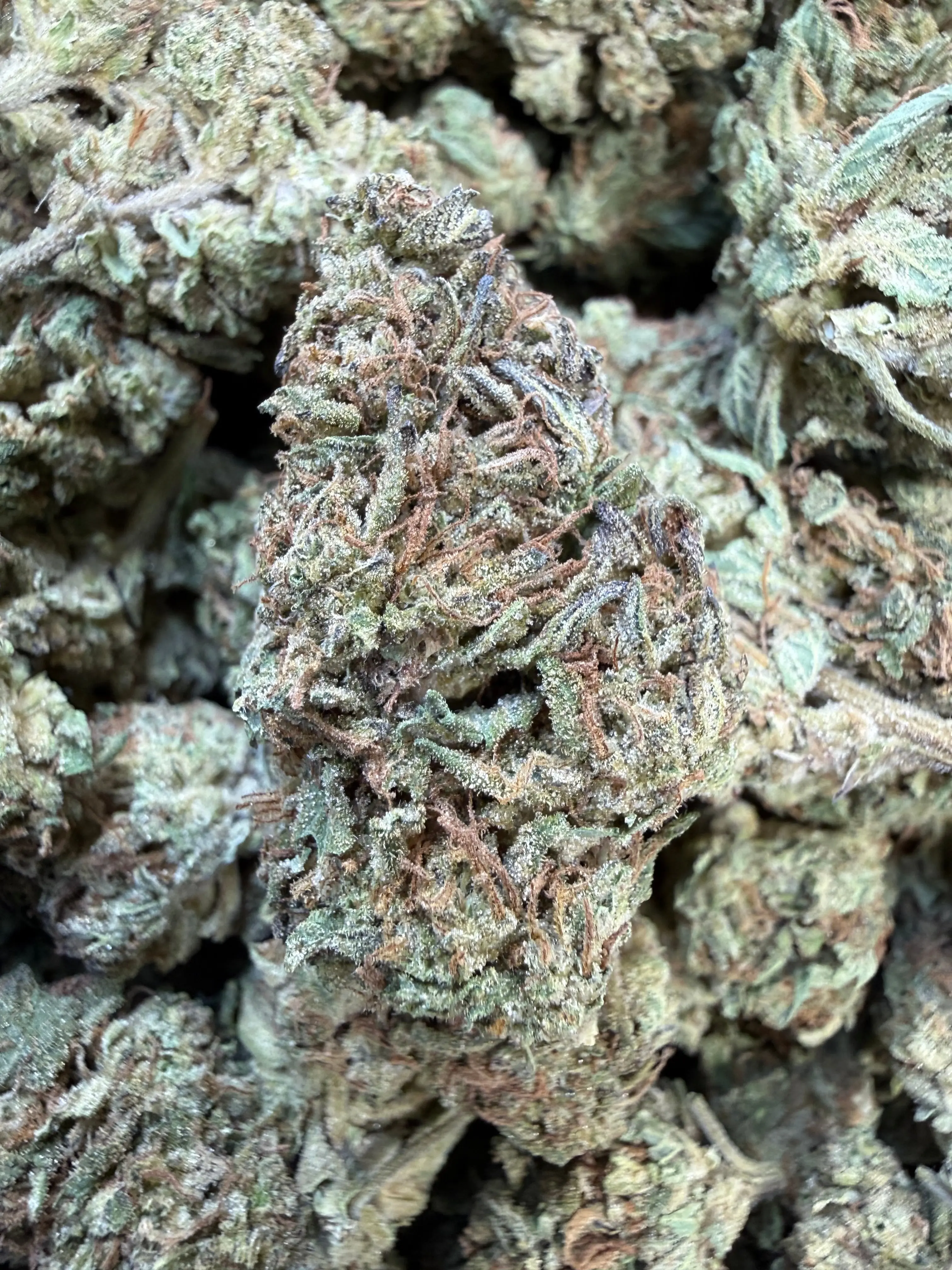 1 Pound - King Kong Kush THCA Flower
