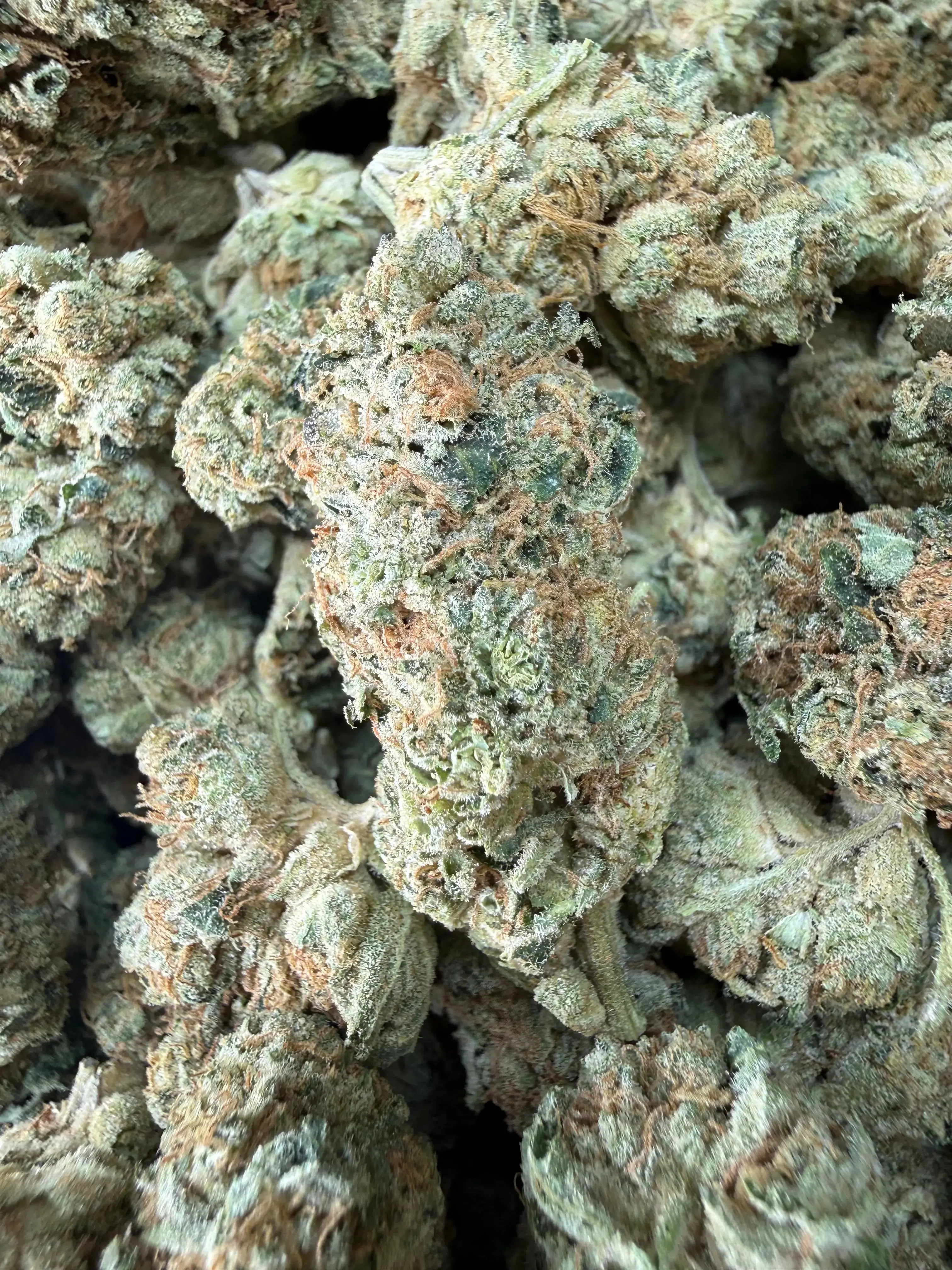 1 Pound - LA Confidential THCA Flower