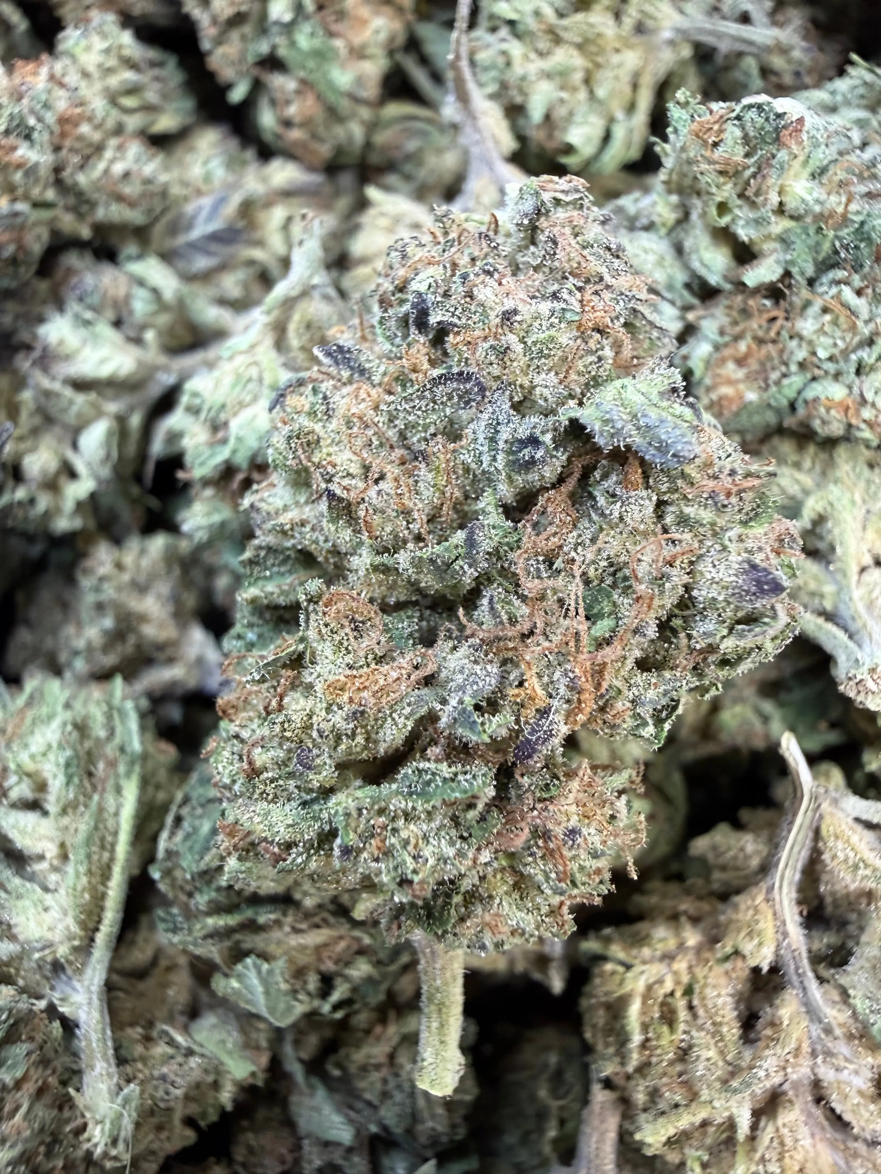 1 Pound - LA Kush Cake THCA Flower - Image 2