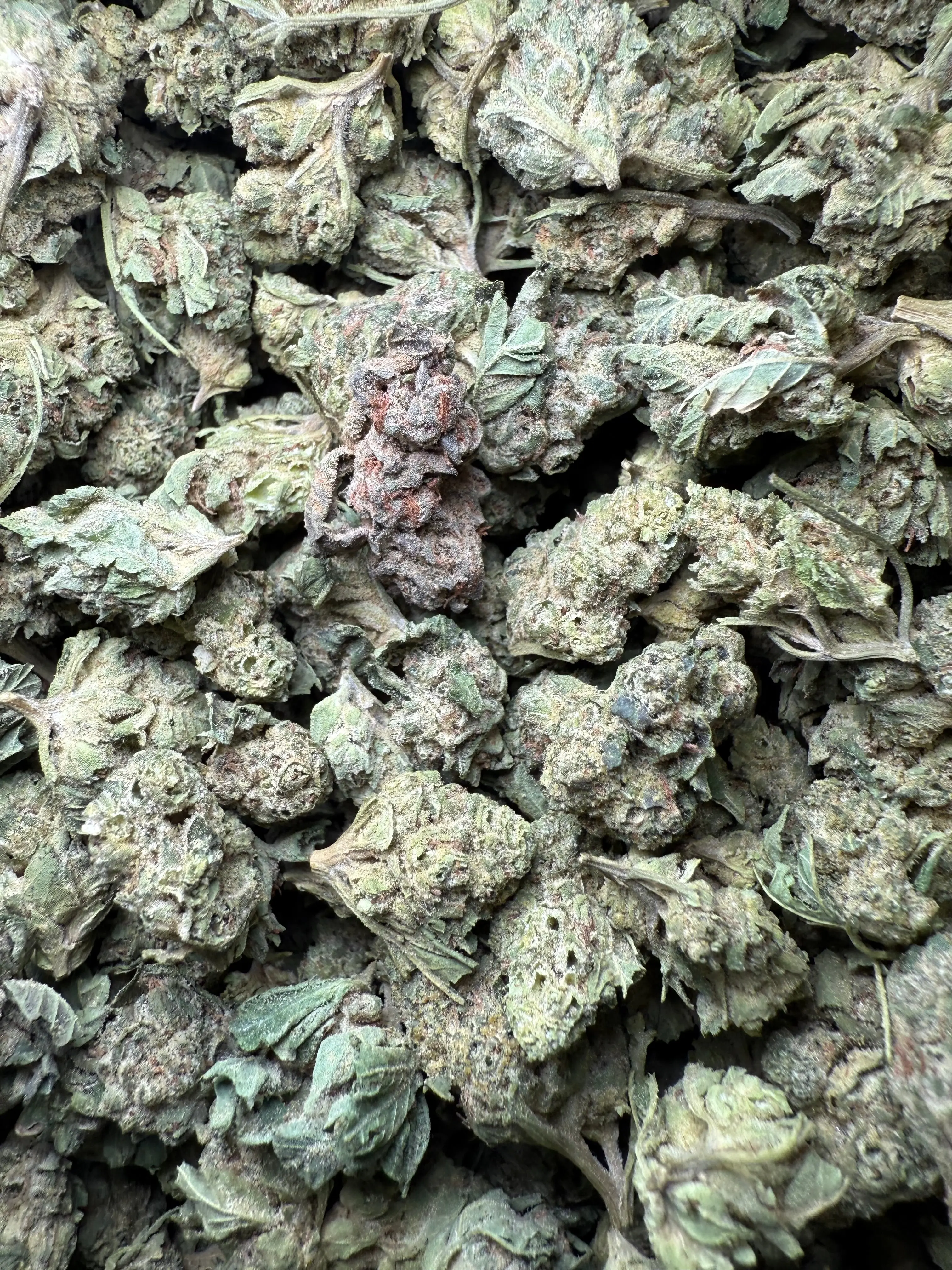 1 Pound - Legend OG THCA Strain (Smalls) - Image 2