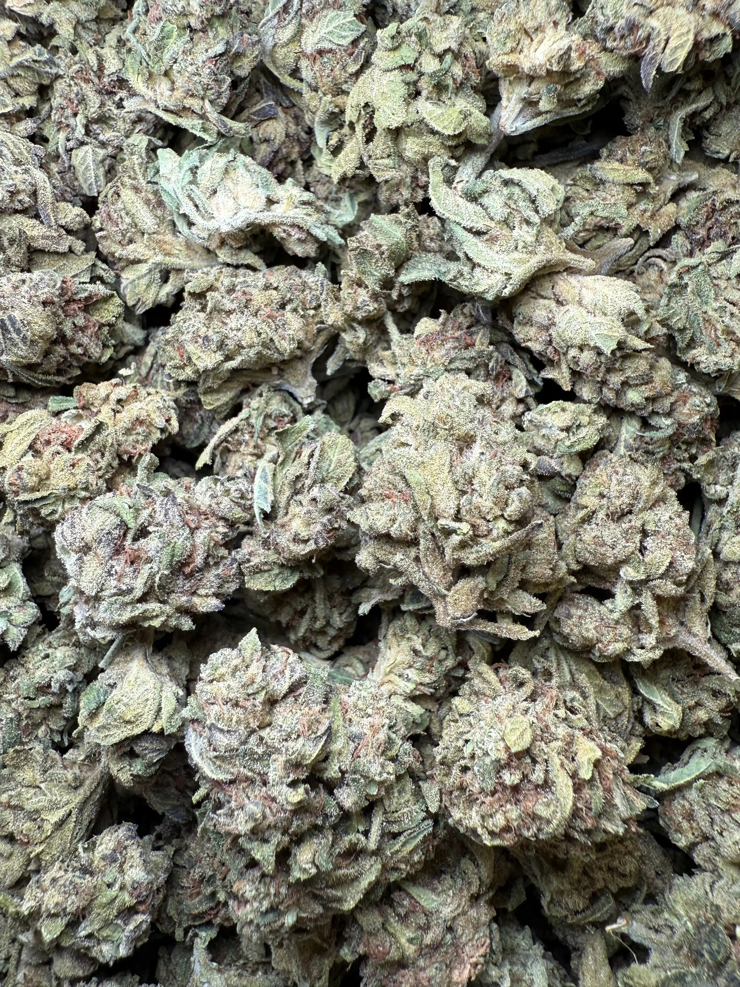 1 Pound - Lemon Cherry Gelato X Wedding Cake THCA - Image 2