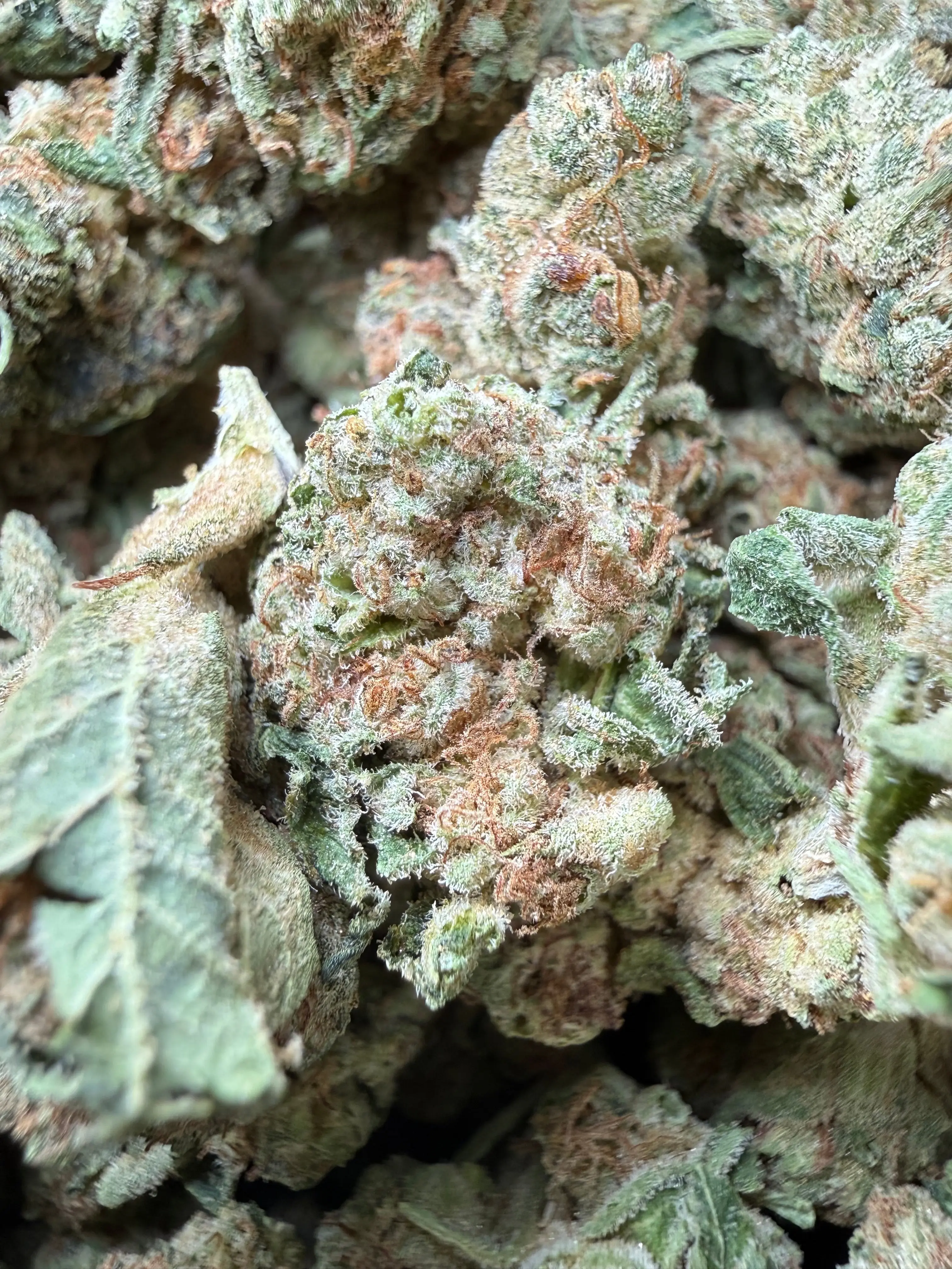 1 Pound - Melted Banana Berry Strain (Smalls)