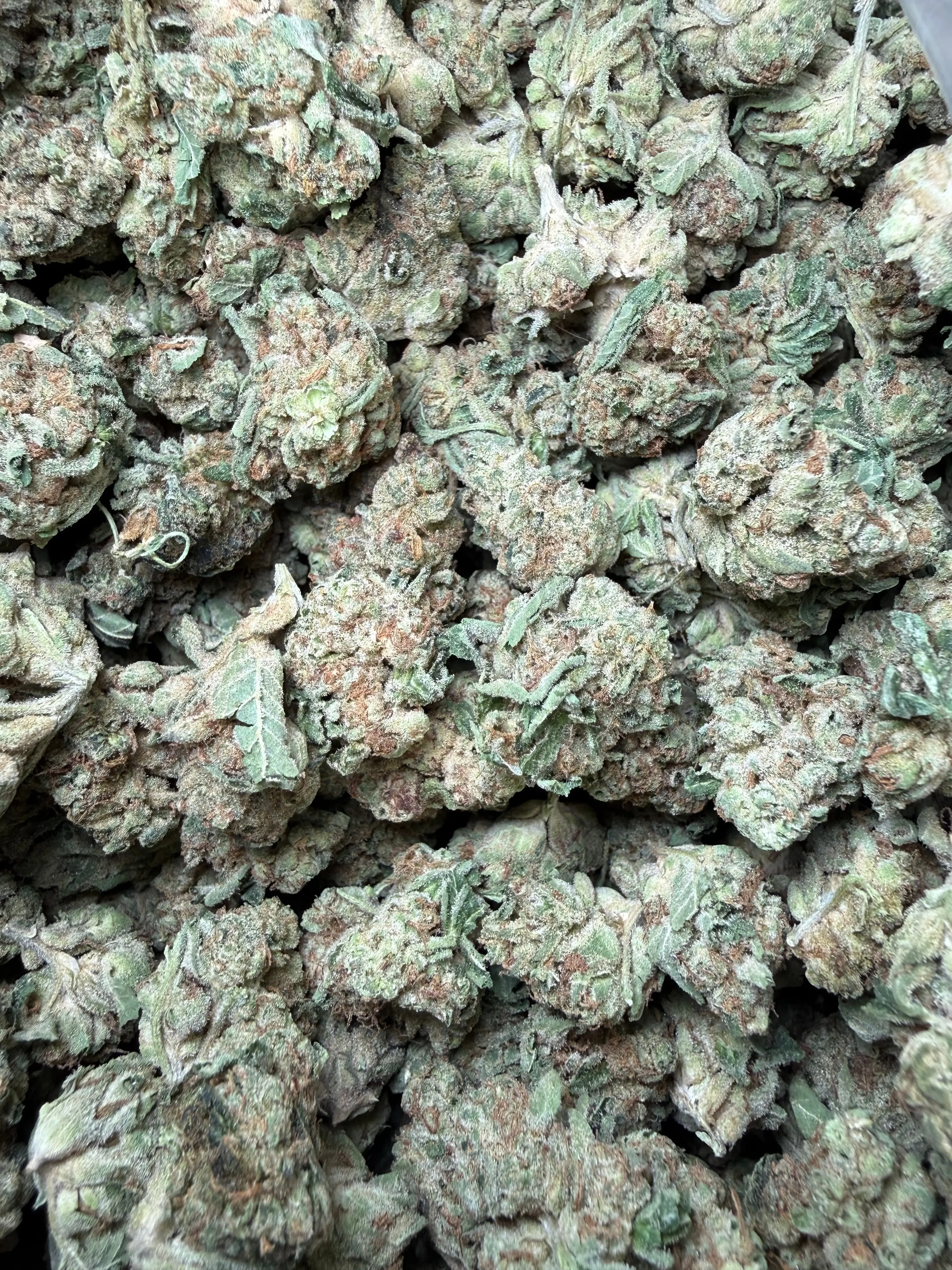 1 Pound - Melted Banana Berry Strain (Smalls) - Image 2
