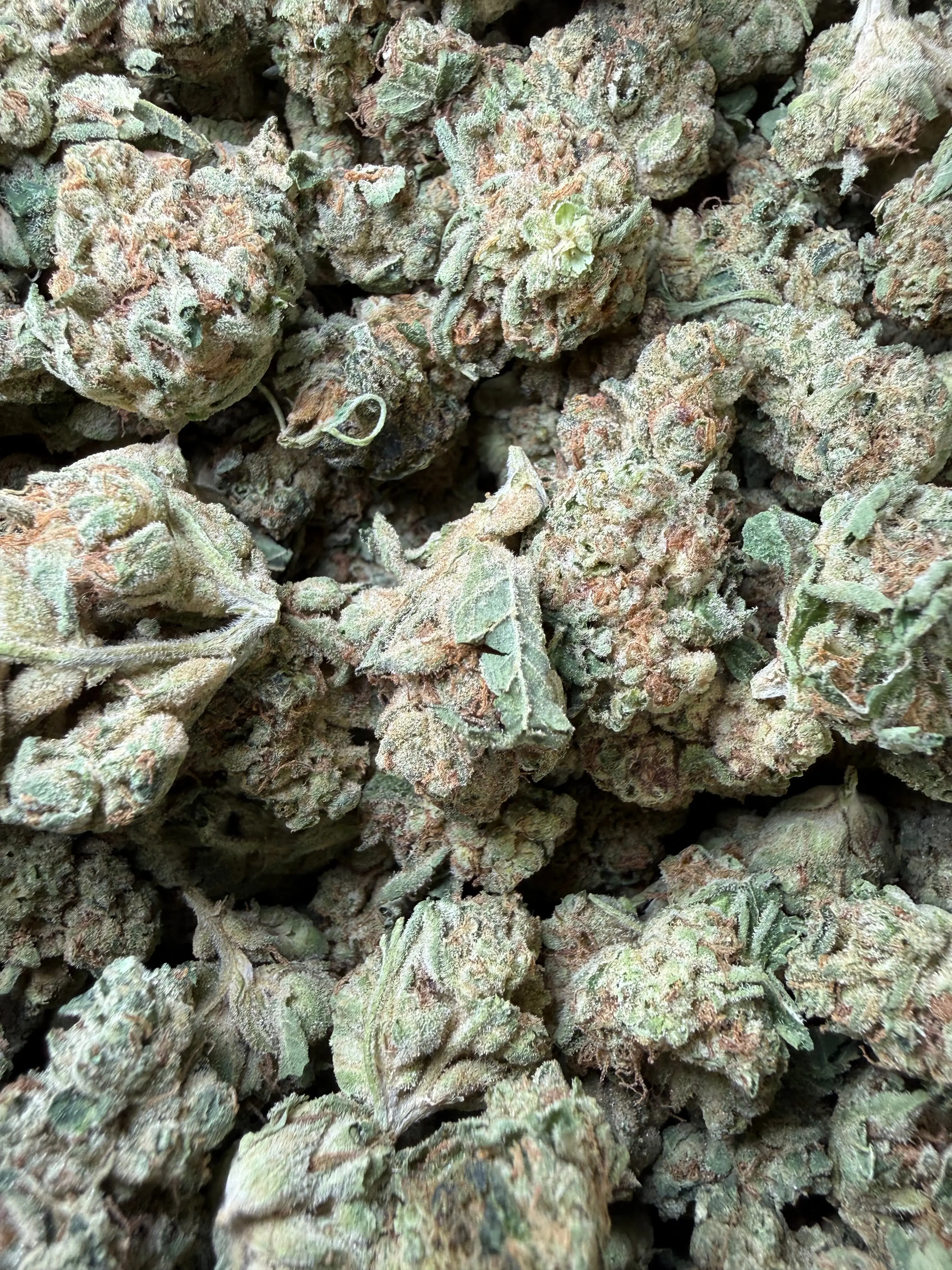 1 Pound - Melted Banana Berry Strain (Smalls) - Image 3