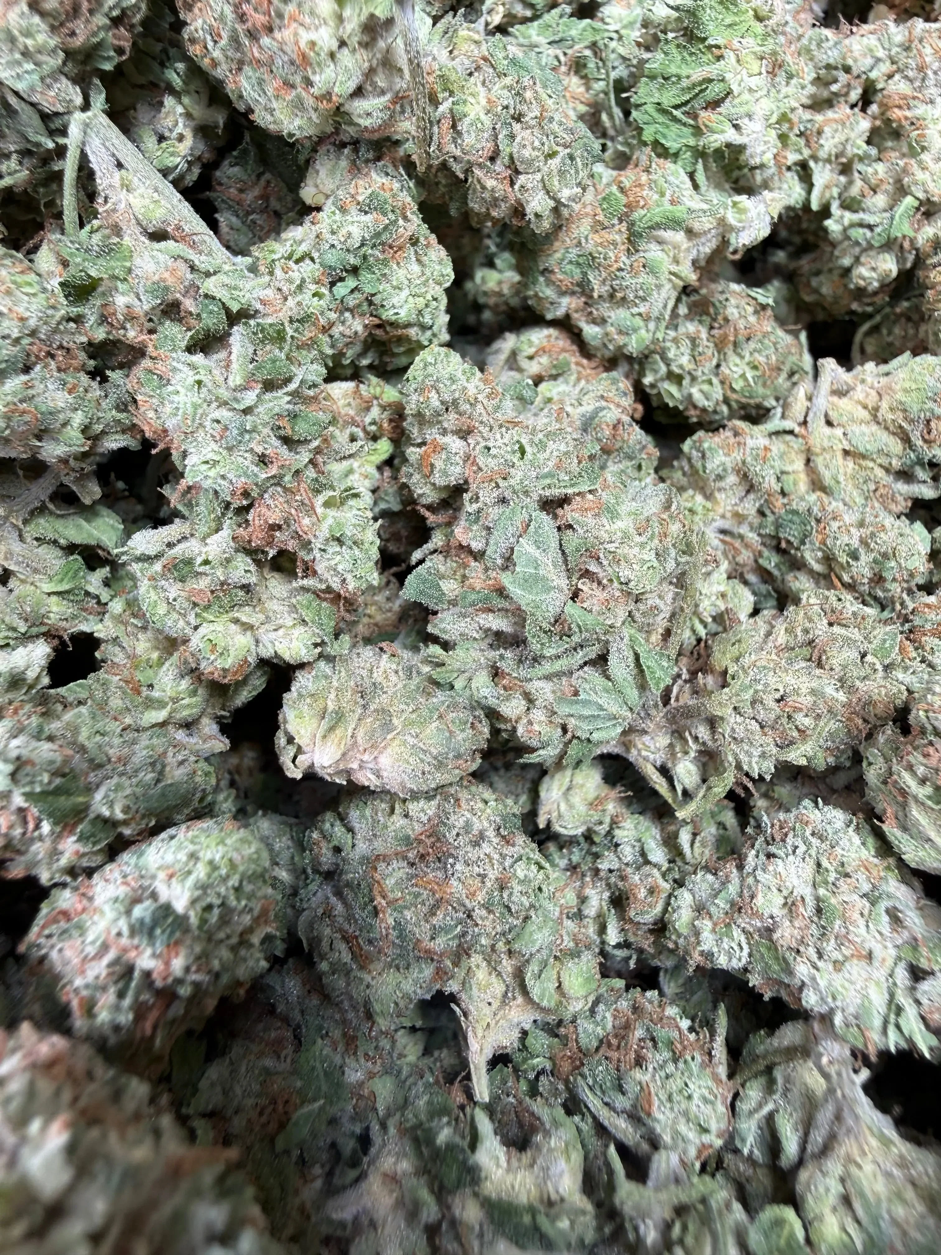 1 Pound - Midnight Fuel THCA Strain (Smalls) - Image 3