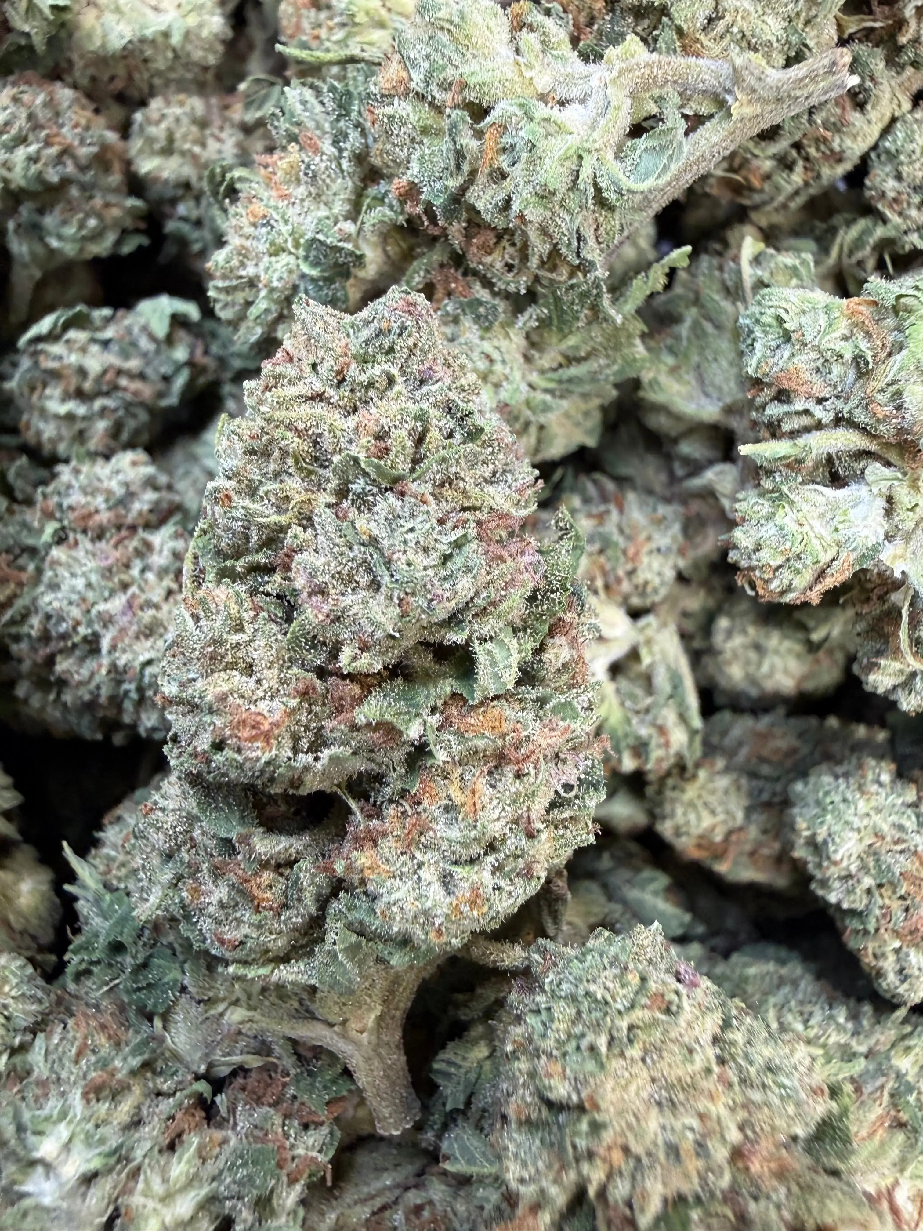1 Pound of Strawberry Gelato THCA Flower - Image 3
