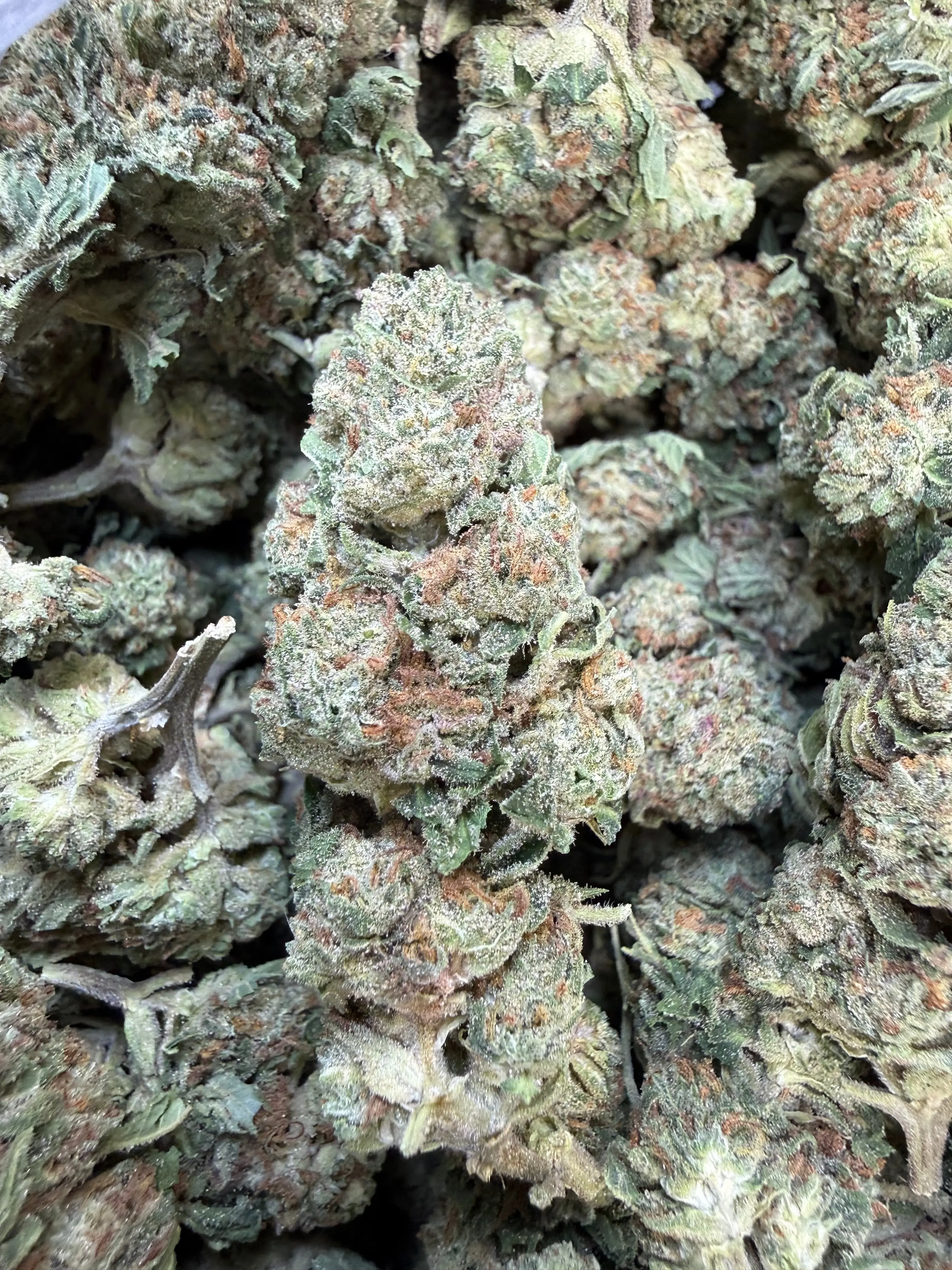 1 Pound of Strawberry Gelato THCA Flower - Image 4