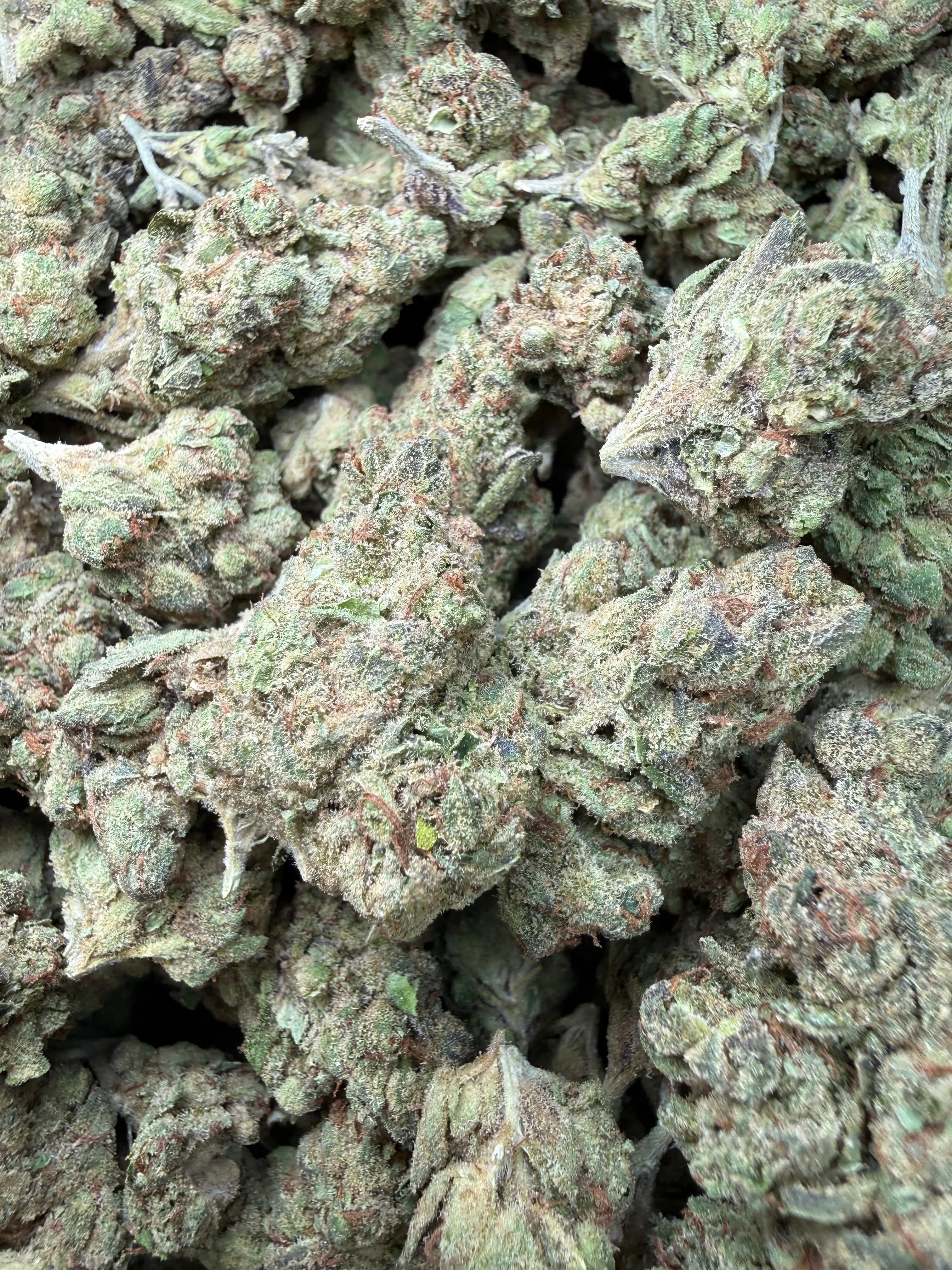 1 Pound - Pink Death Star THCA Flower - Image 3