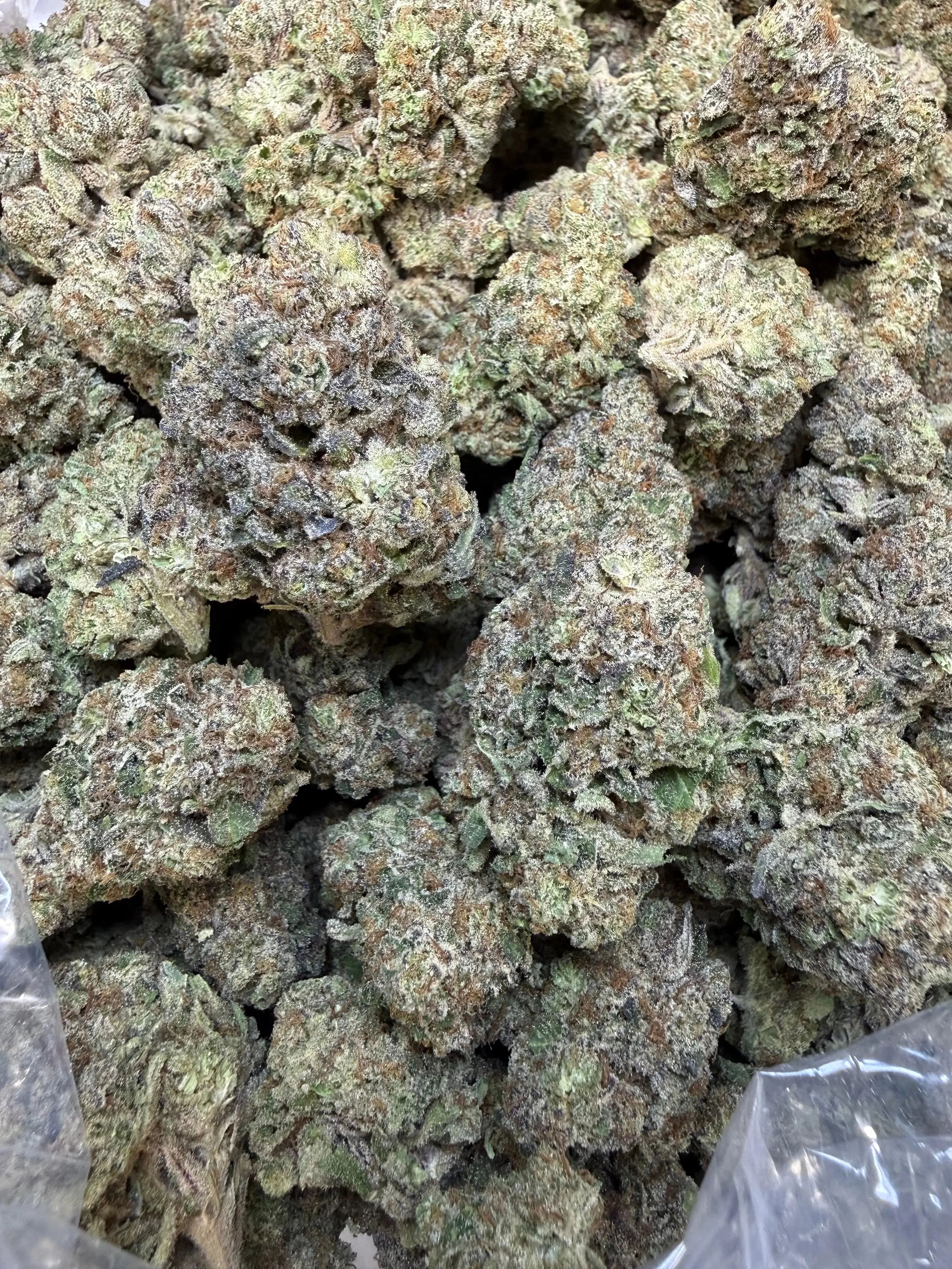 1 Pound - Purple Certz THCA Flower - Image 4