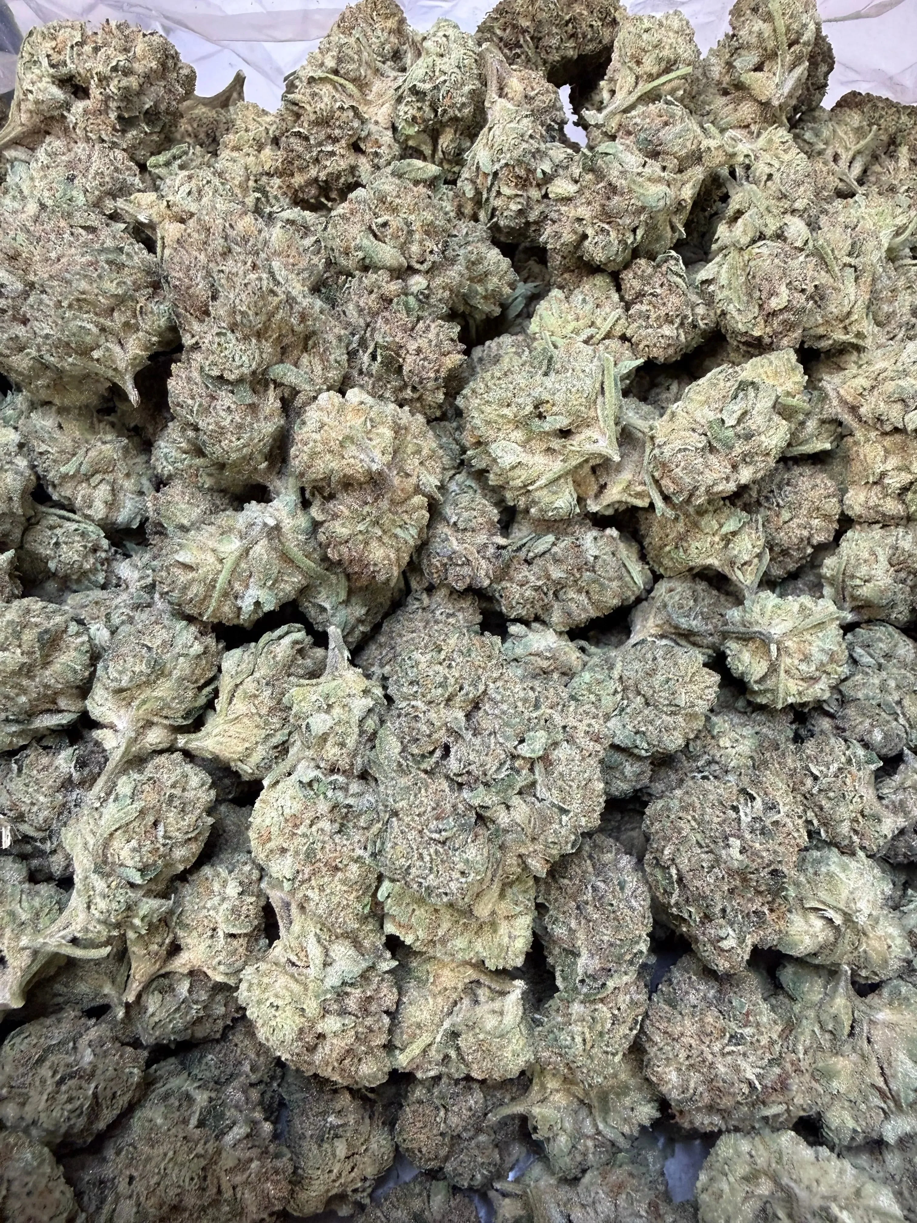 1 Pound - Purple Certz THCA Flower - Image 7