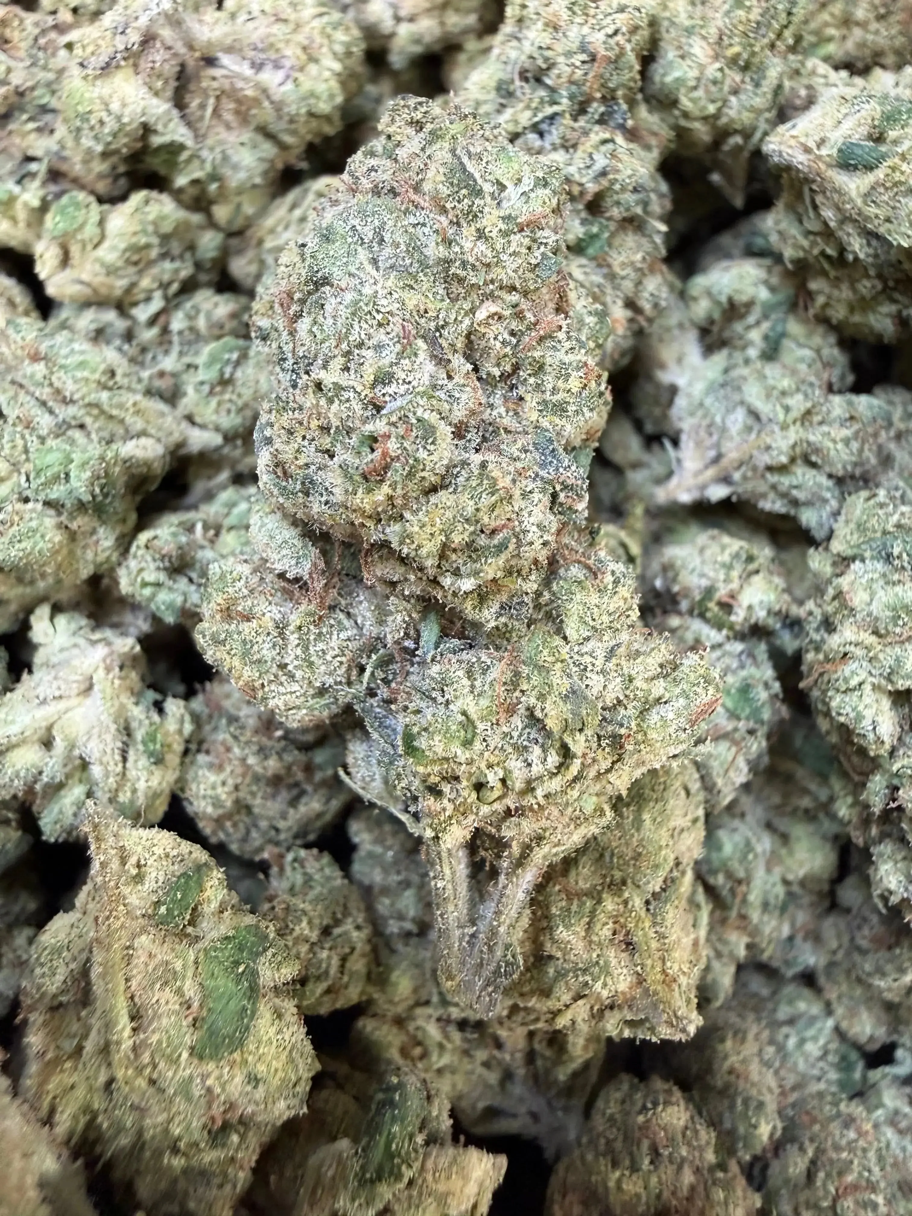 1 Pound - Velvet Currency THCA Strain
