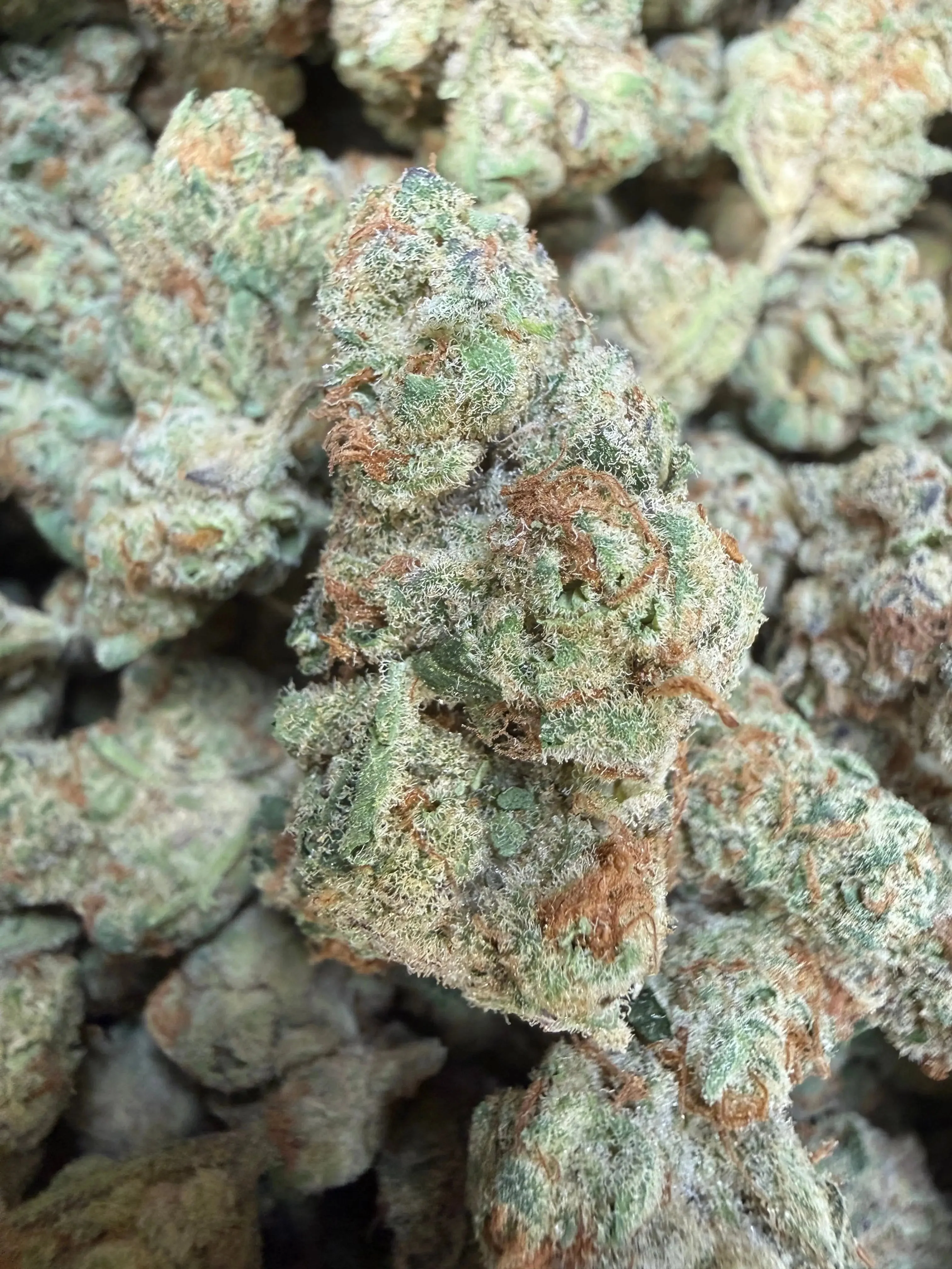 1 Pound - Purple Tesla THCA Strain