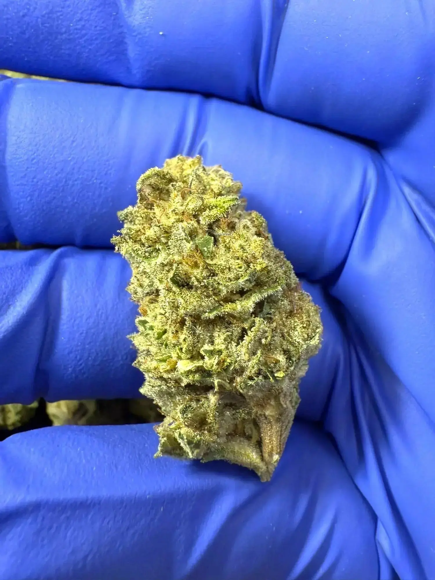 Frisco Labs - Red Velvet Strain THCA - Image 2