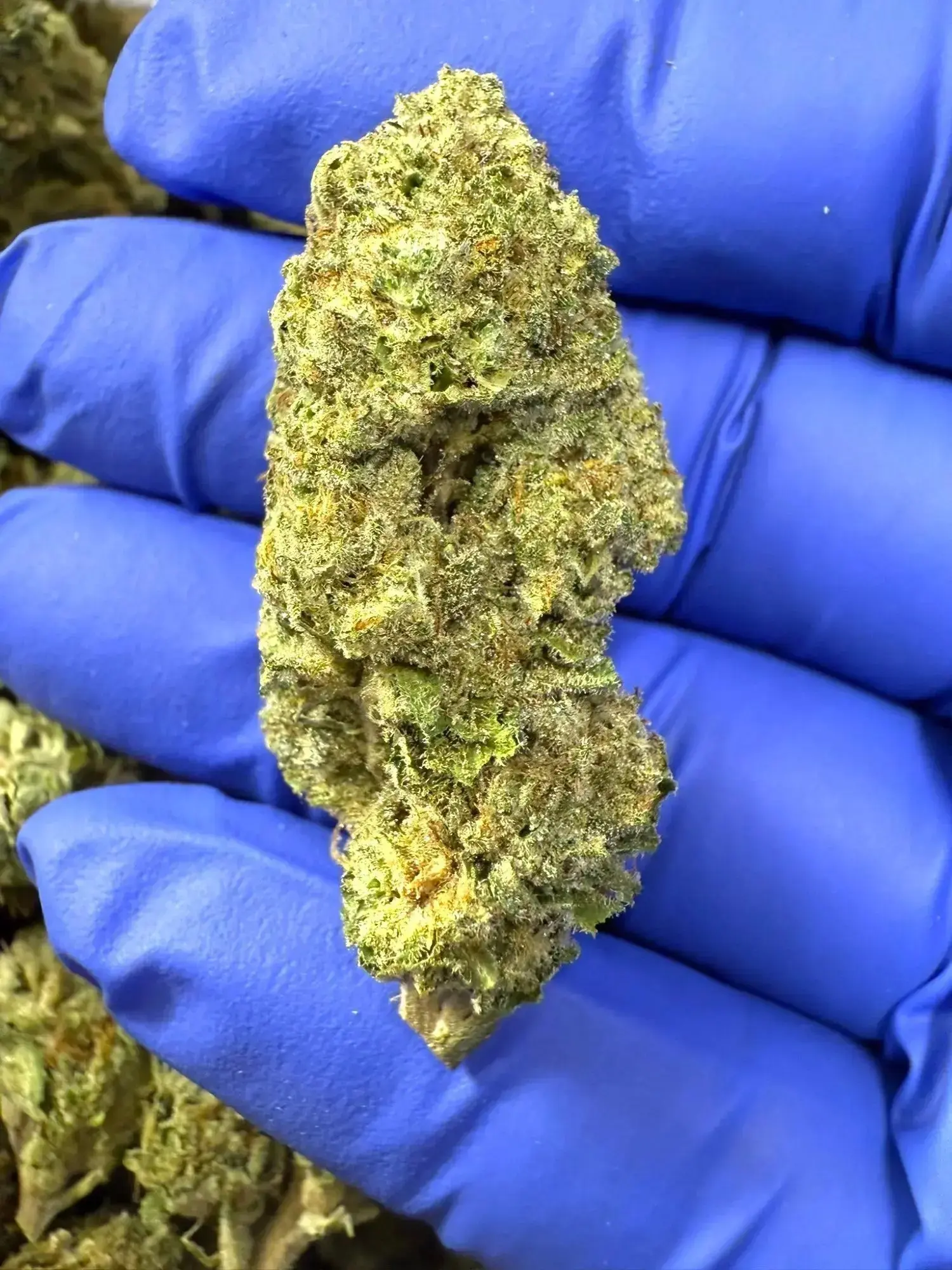 Frisco Labs - Red Velvet Strain THCA - Image 3