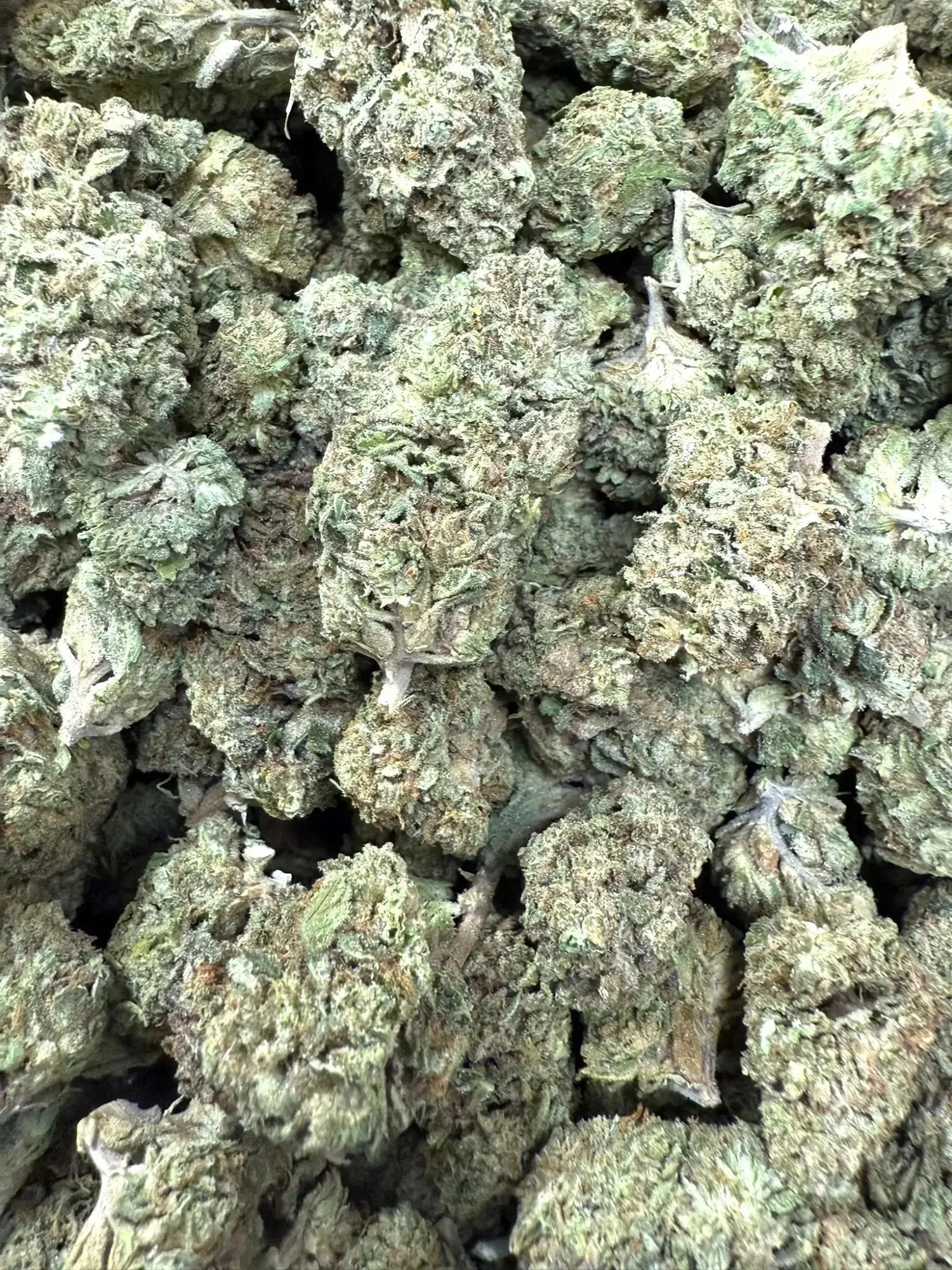 Frisco Labs - Red Velvet Strain THCA - Image 4