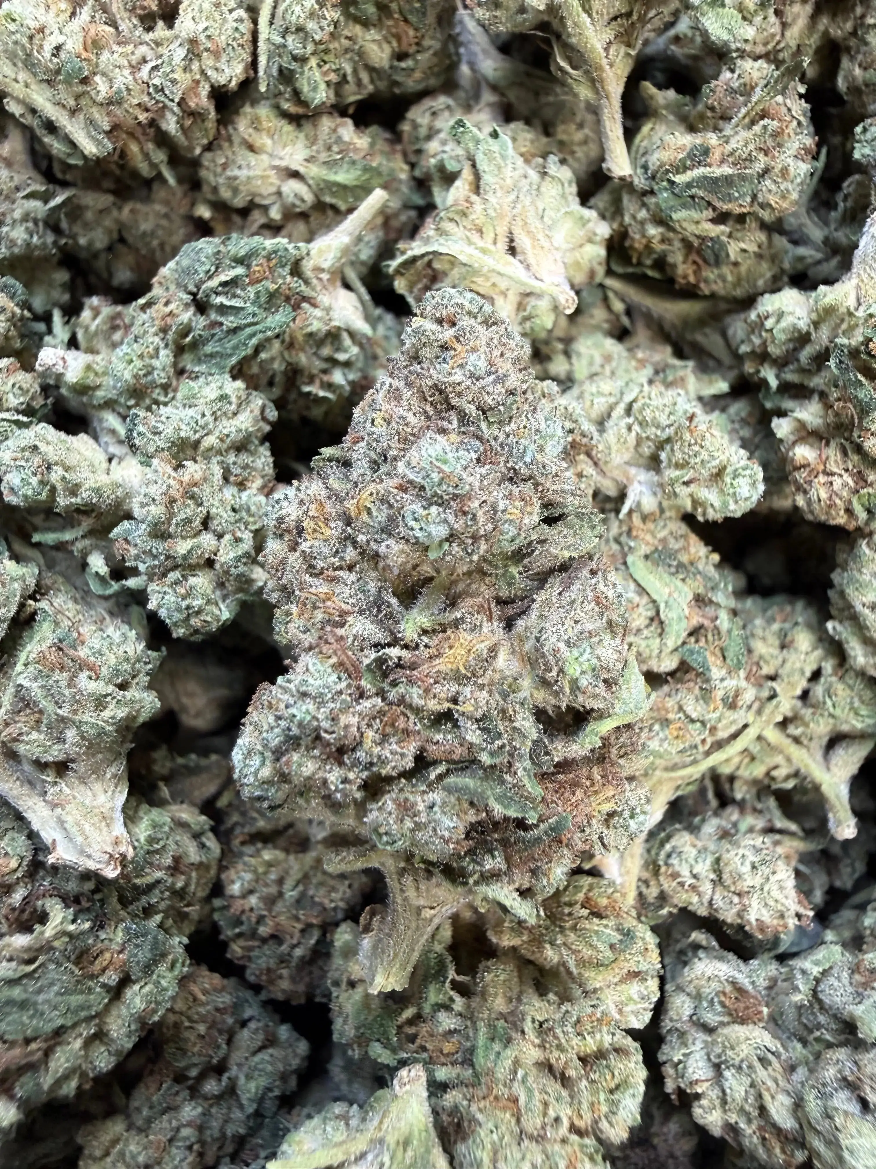 1 Pound - Slurricane THCA Flower