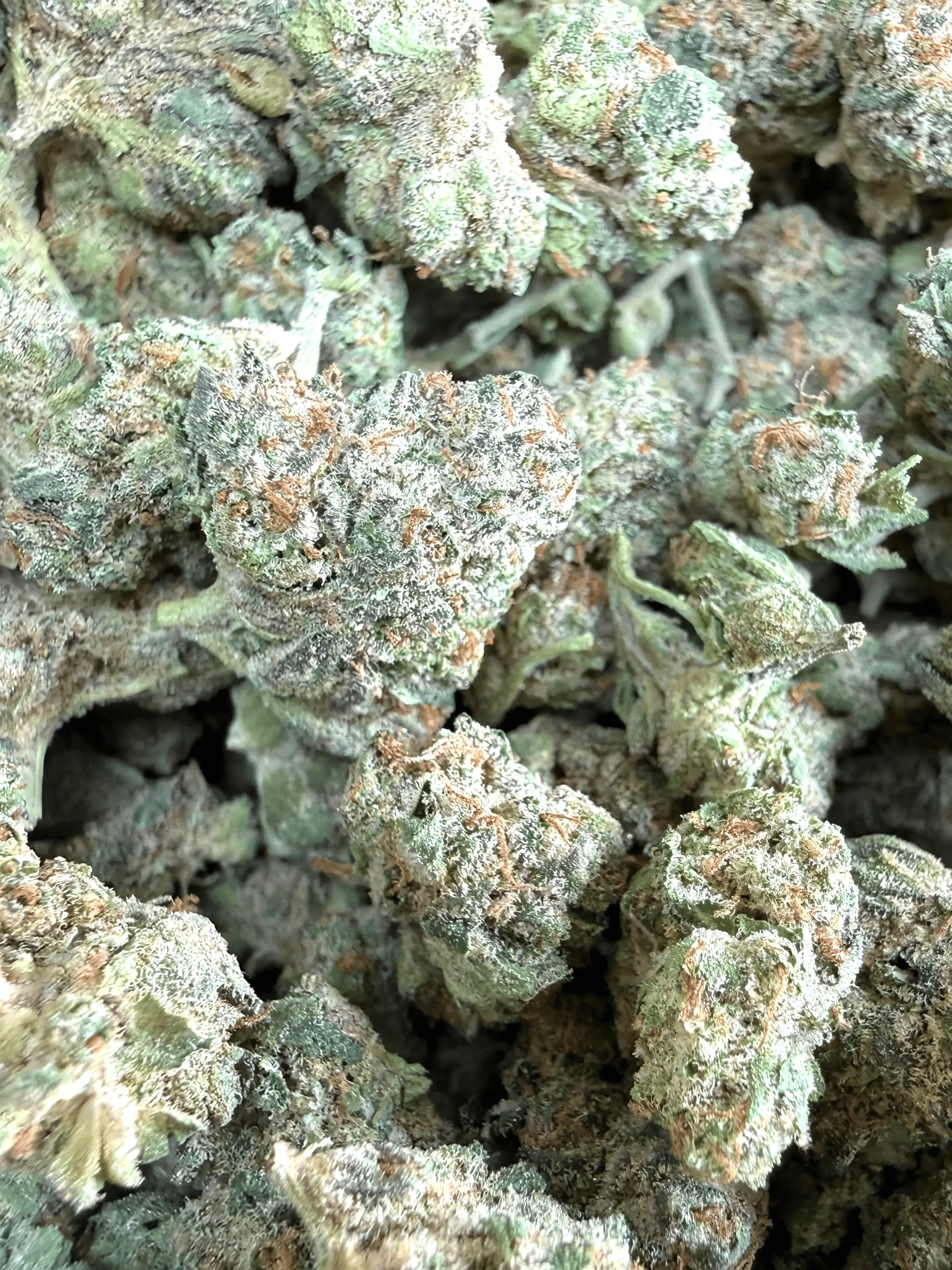 1 Pound - Slurricane THCA Strain (Smalls)
