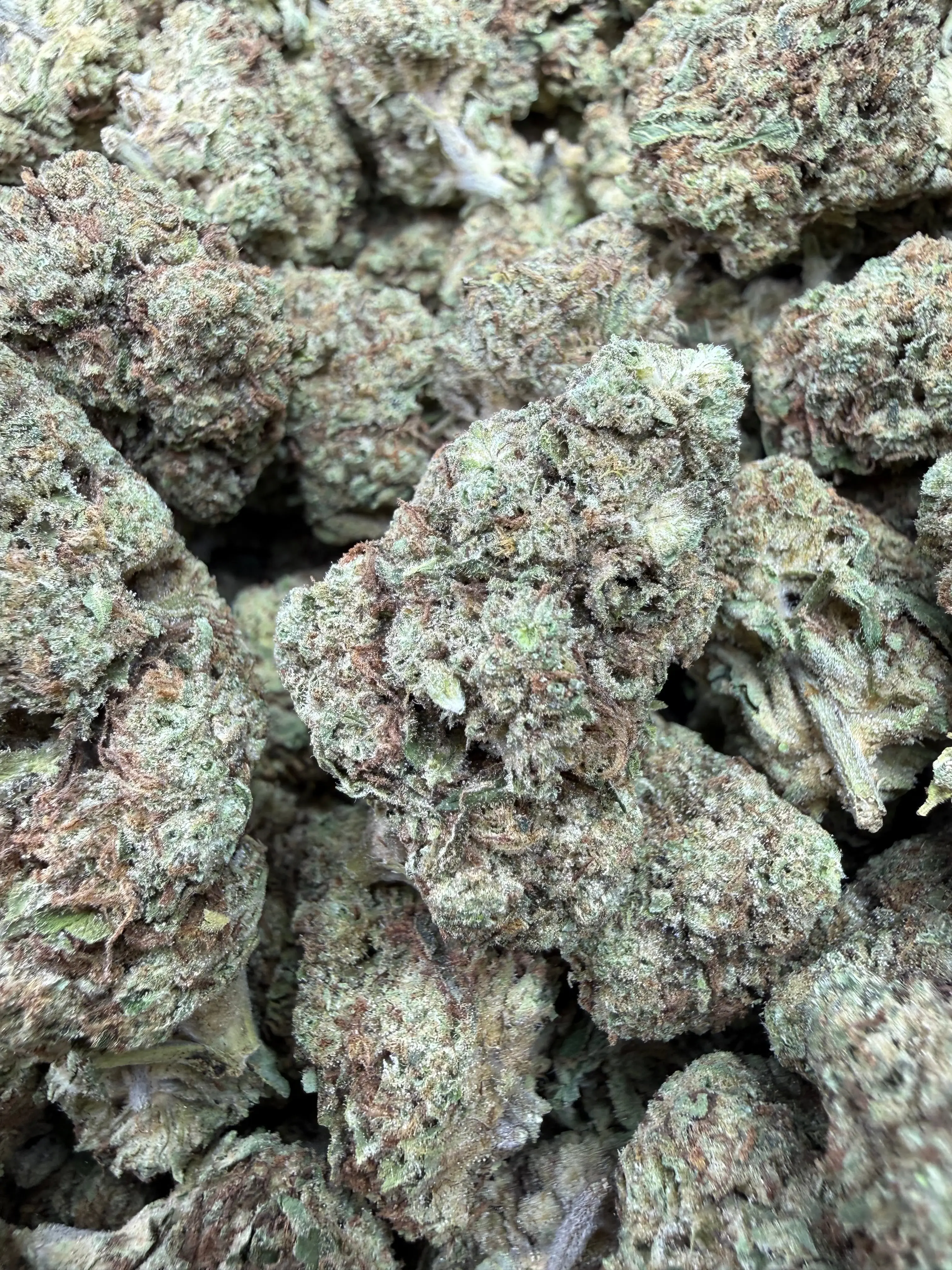 1 Pound - Sugar Bread THCA Flower - Image 2