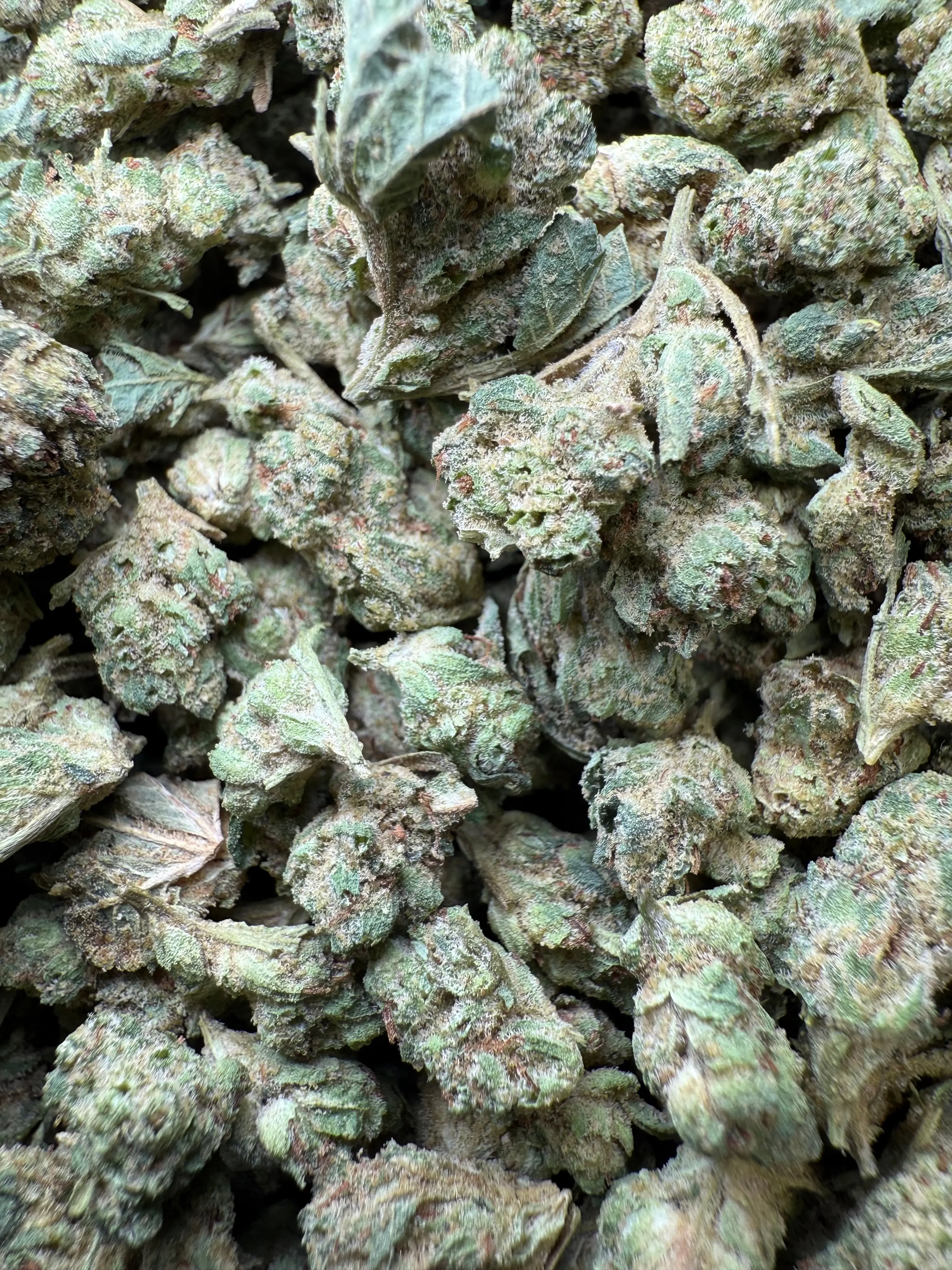 1 Pound - Super Glue THCA Strain (Small)