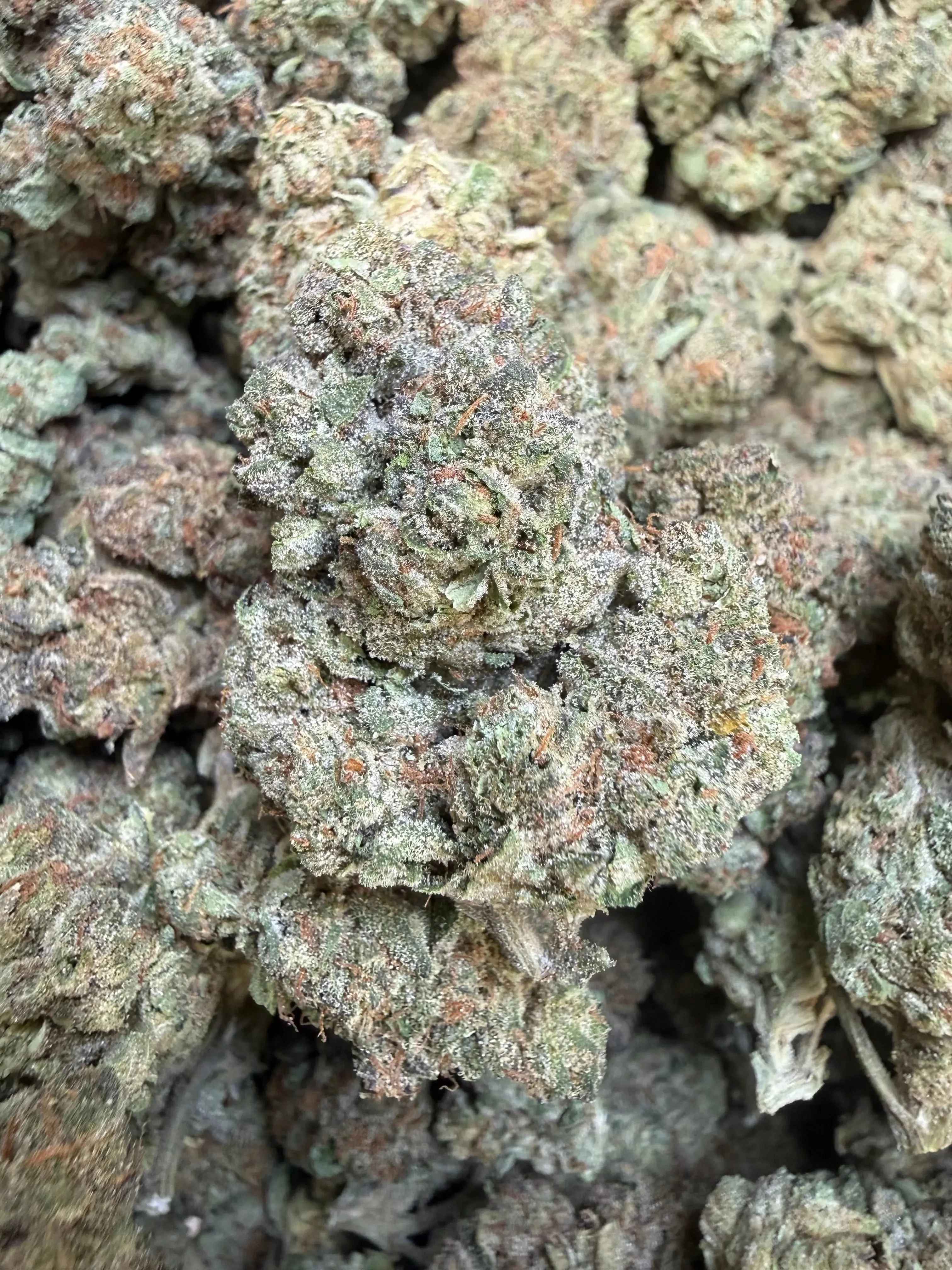 1 Pound - Trap Jelly Reserve THCA Flower - Image 2