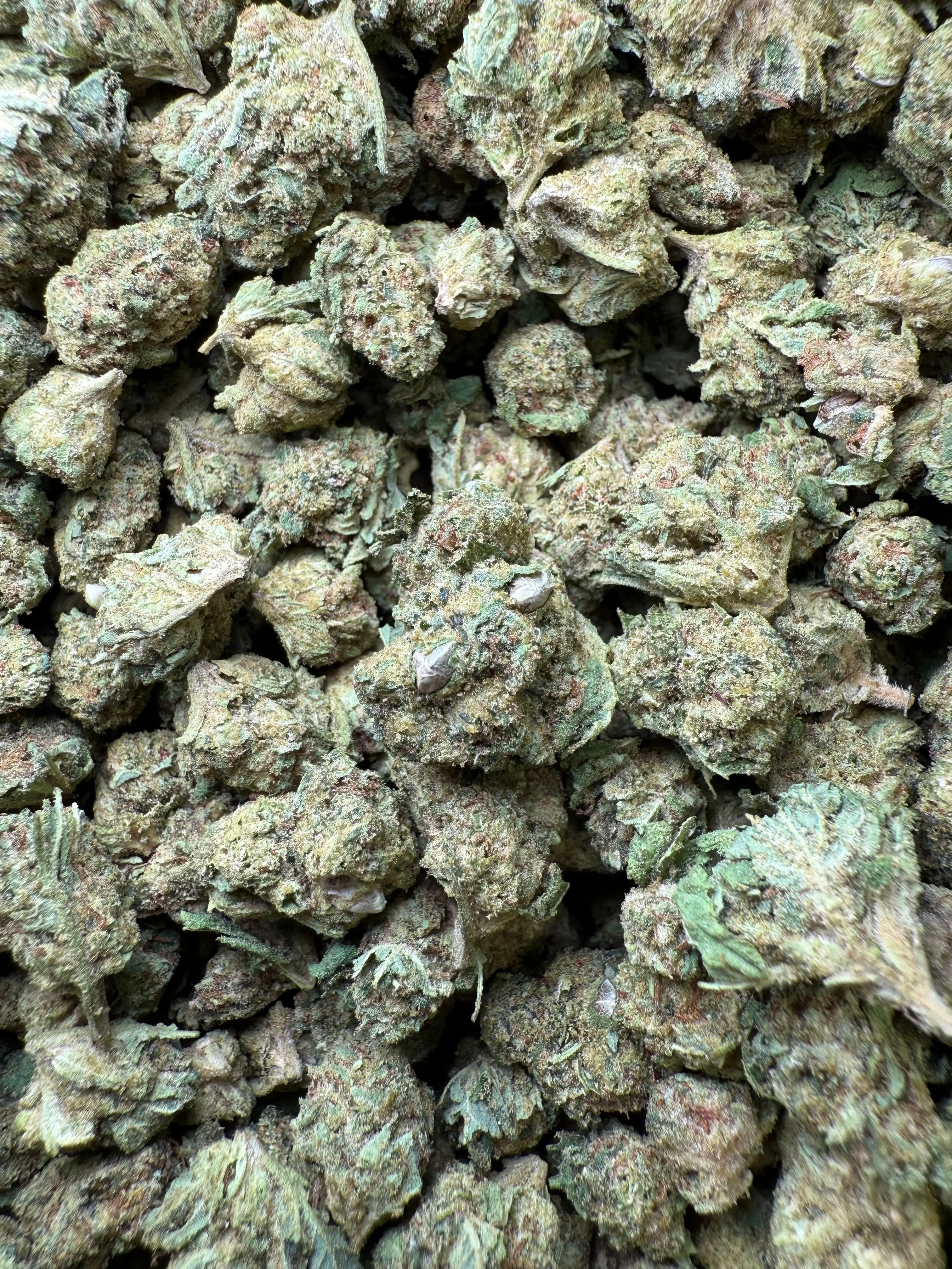 1 Pound - Venom OG THCA Strain (Smalls) - Image 2