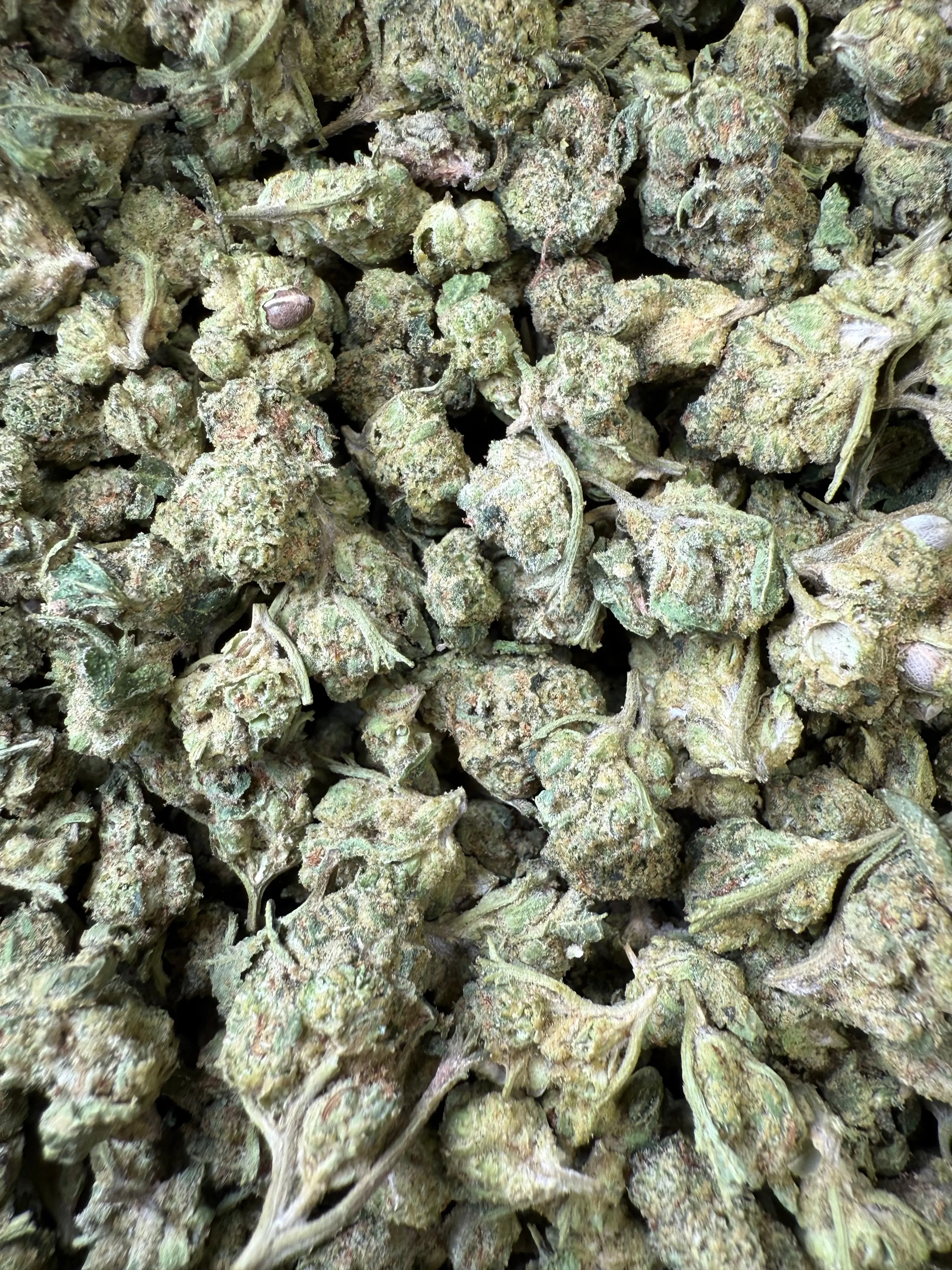 1 Pound - Venom OG THCA Strain (Smalls) - Image 4