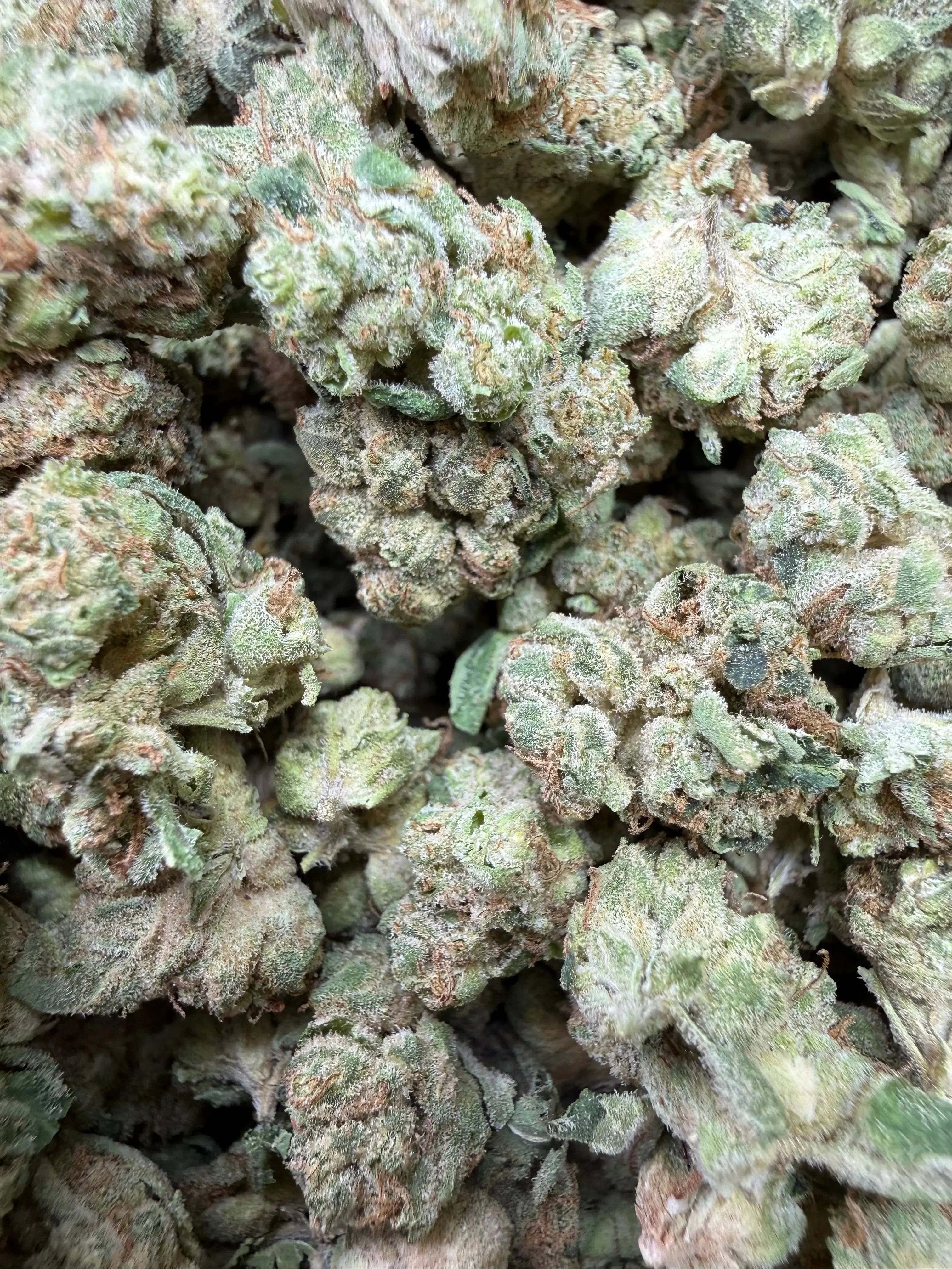 1 Pound - Wedding Cake THCA Strain (Small)