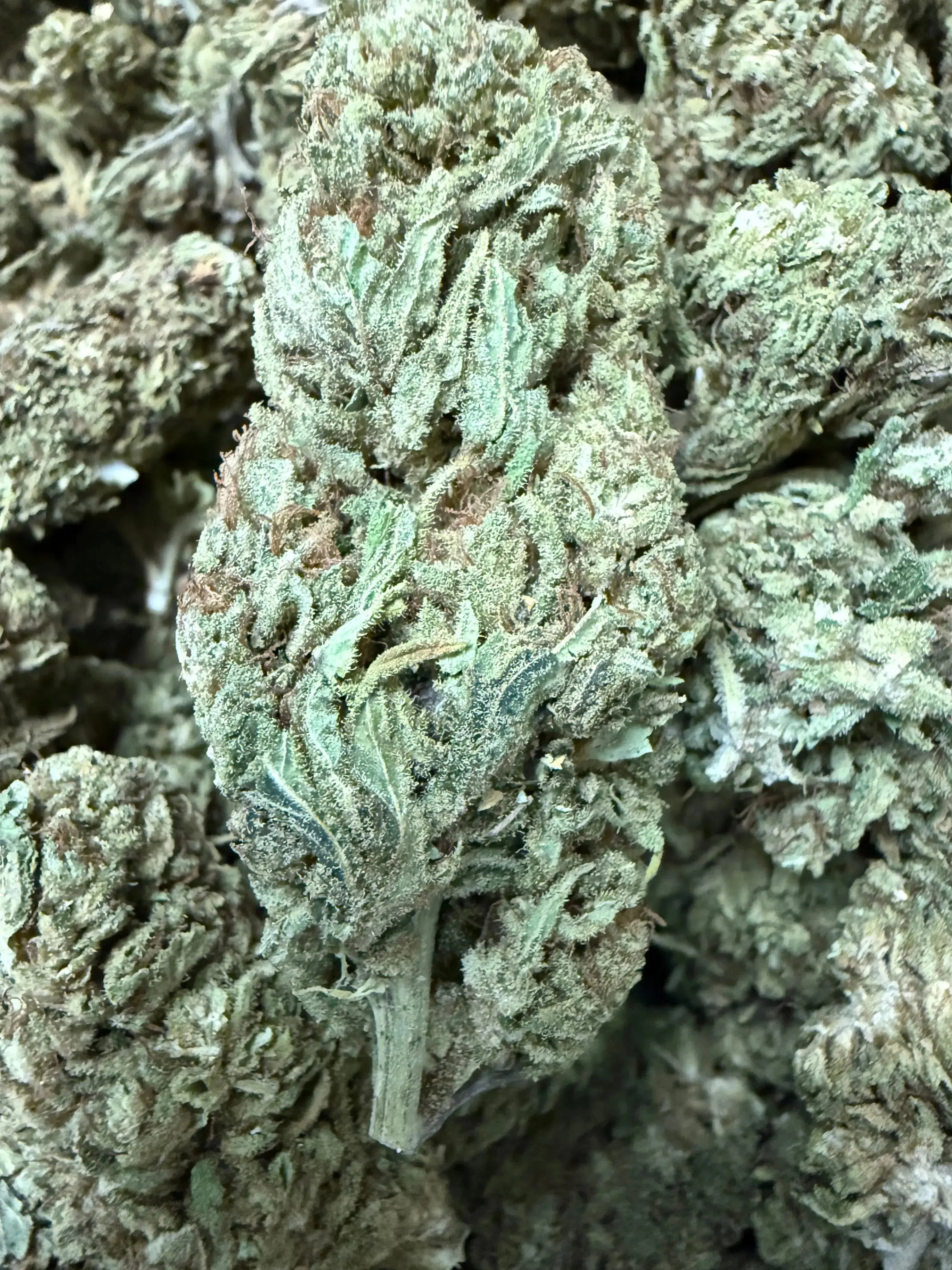1 Pound CBD Flower (BIGS) - Premium Hand Trimmed - Image 3