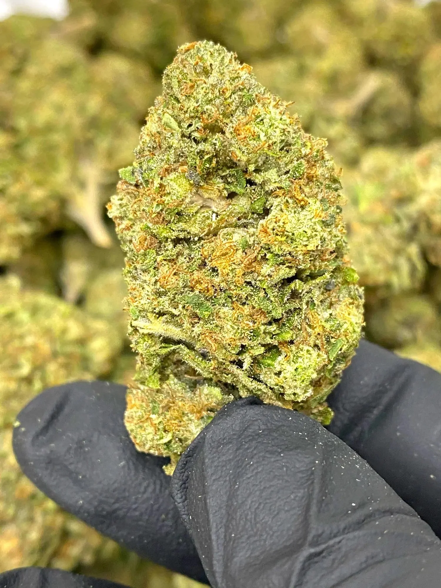 Frisco Labs - Black Runtz THCA Strain - Image 2