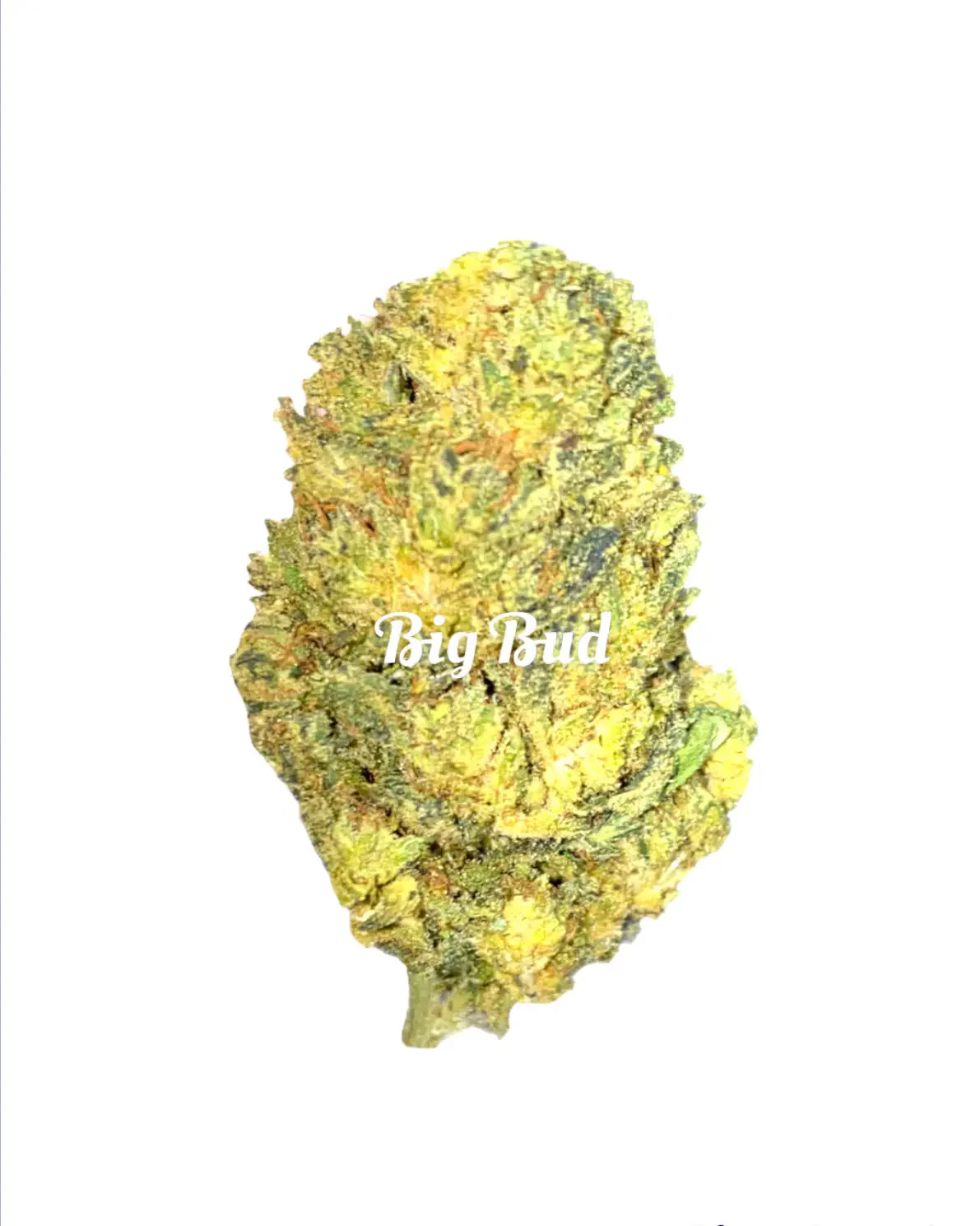 CBD Flower Big Bud - Image 2