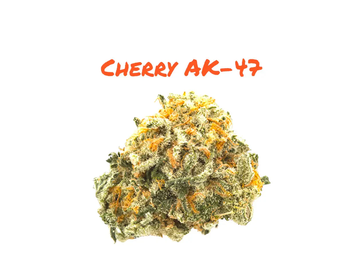 Cherry AK-47 THCa Flower