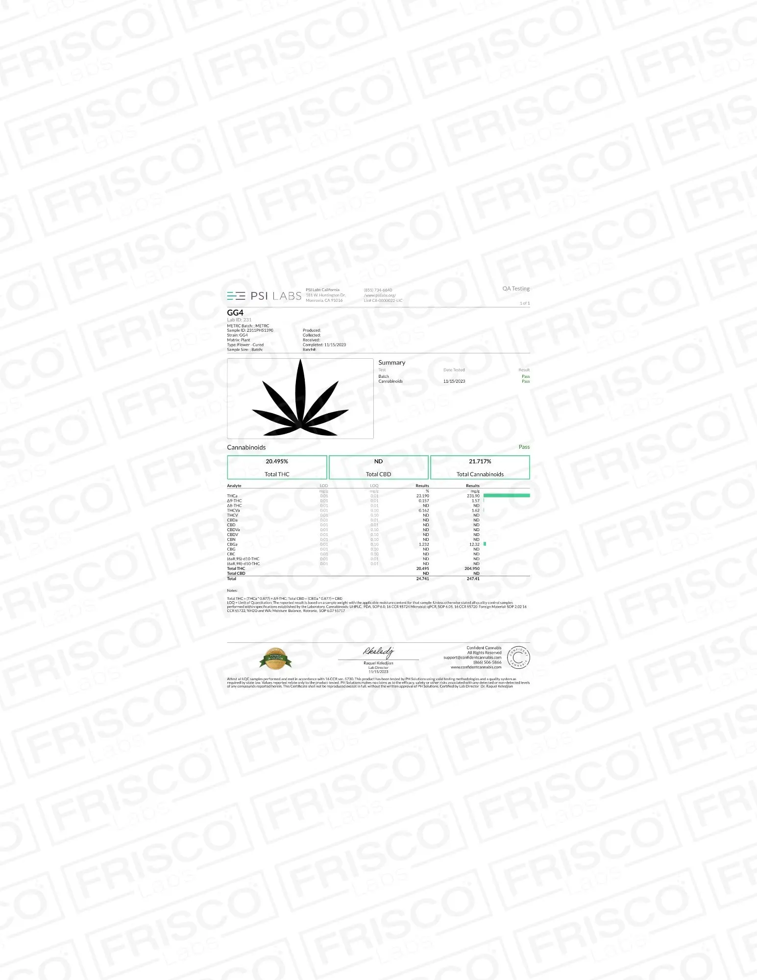 Exotic Indoor - Original Glue Strain - Image 4