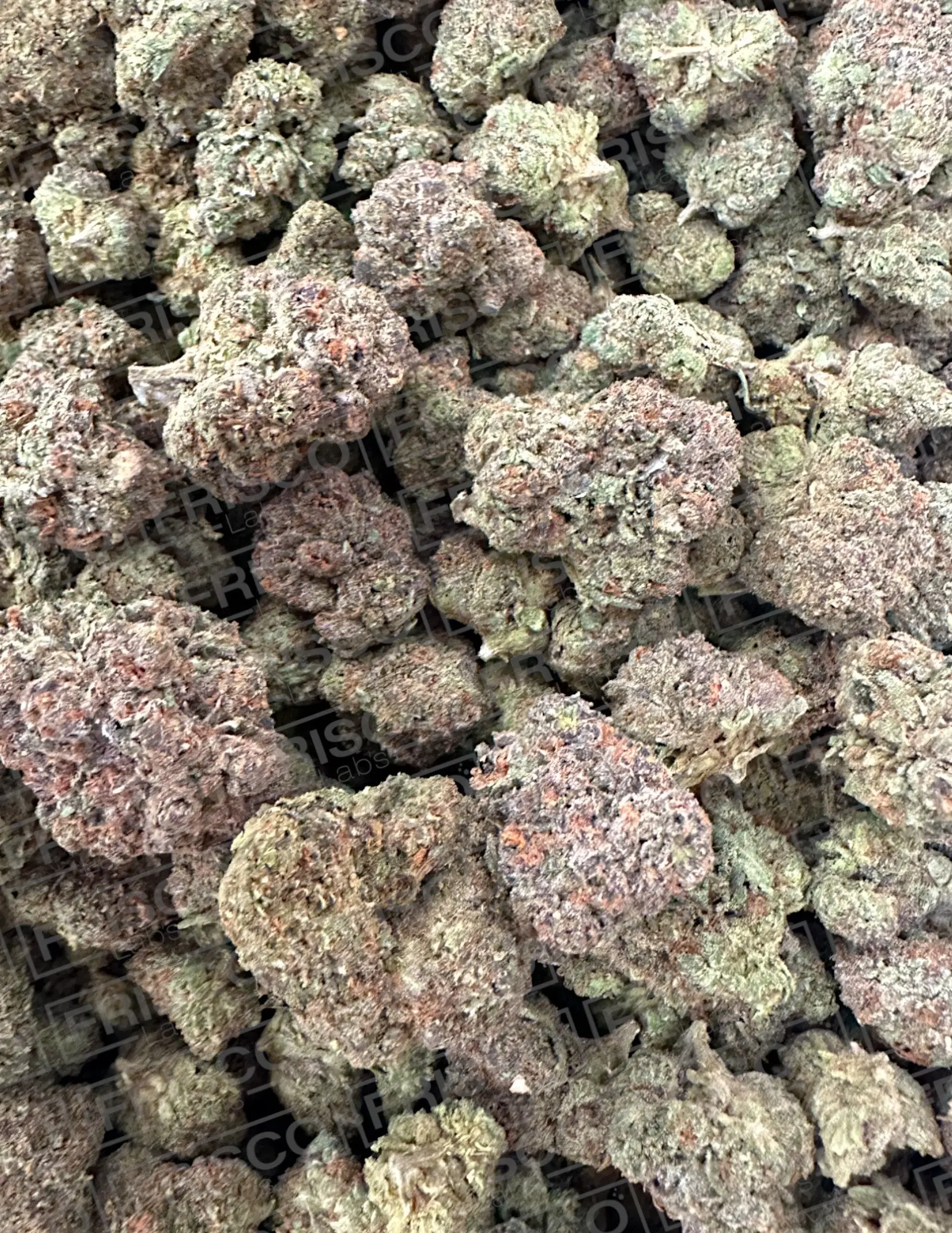 Frisco Labs - Exotic Blue Candyz Gelato THCA Strain - Image 2