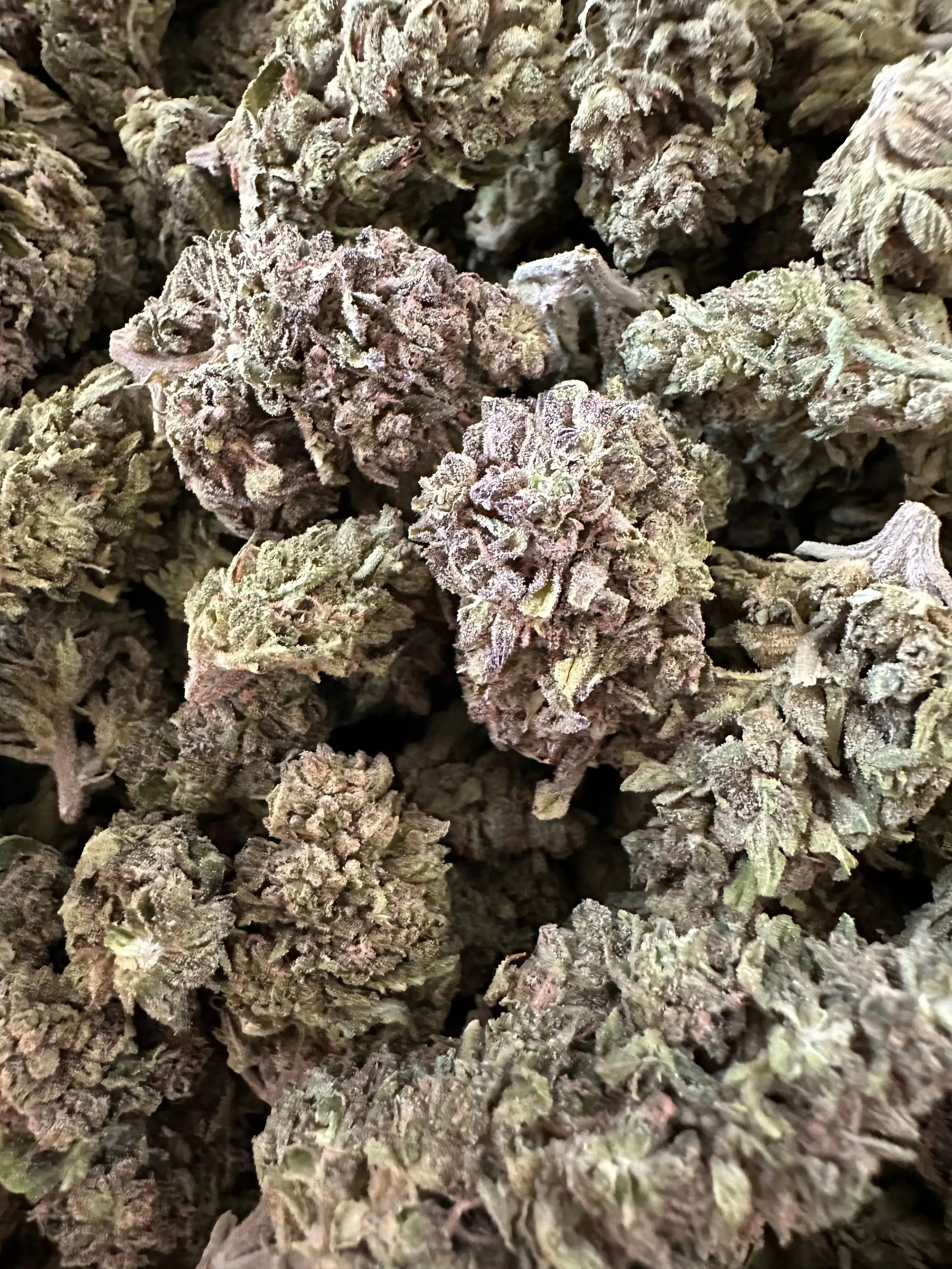 Frisco Labs - Exotic Indoor Gas Candy THCA - Image 3